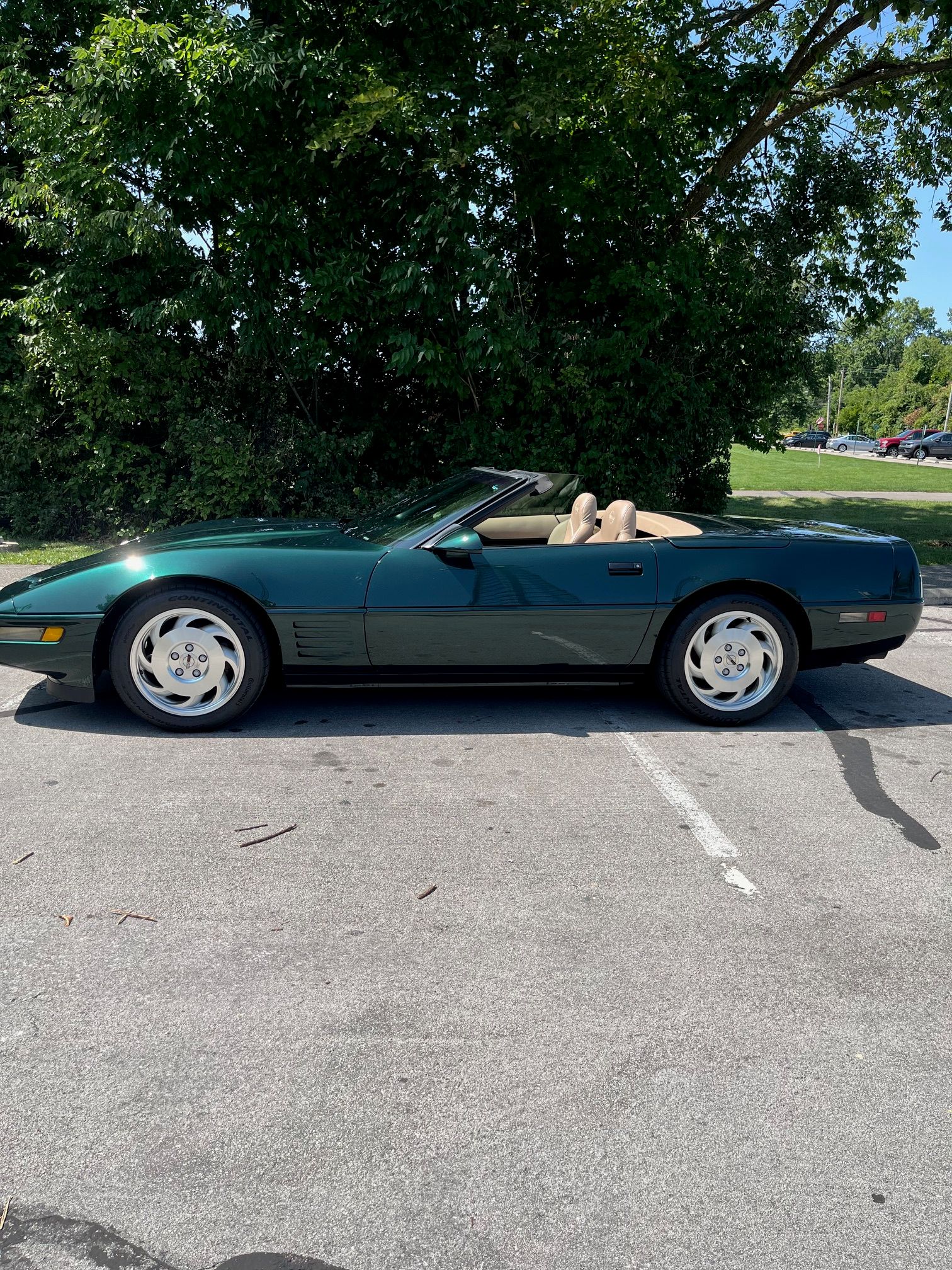Used 1994 Chevrolet Corvette Convertible RWD image 11