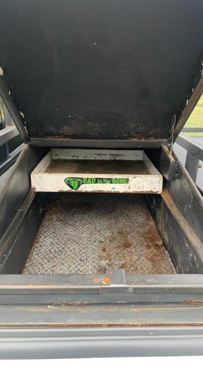 Used 1999 Ford F250 2WD Crew Cab Super Duty image 12
