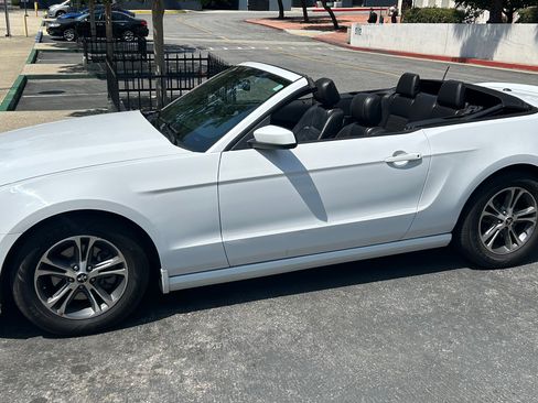 Used 2014 Ford Mustang Premium w/ Equipment Group 201A image 1