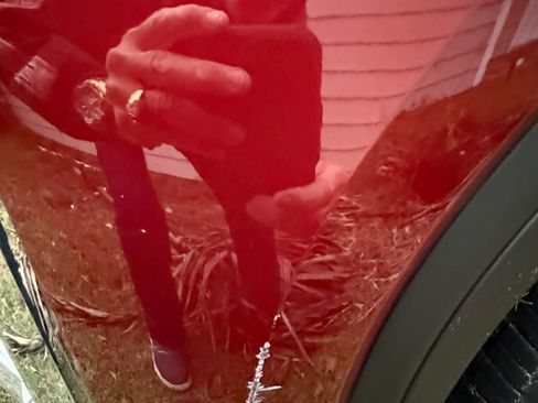 Used 2019 GMC Sierra 1500 SLT image 8