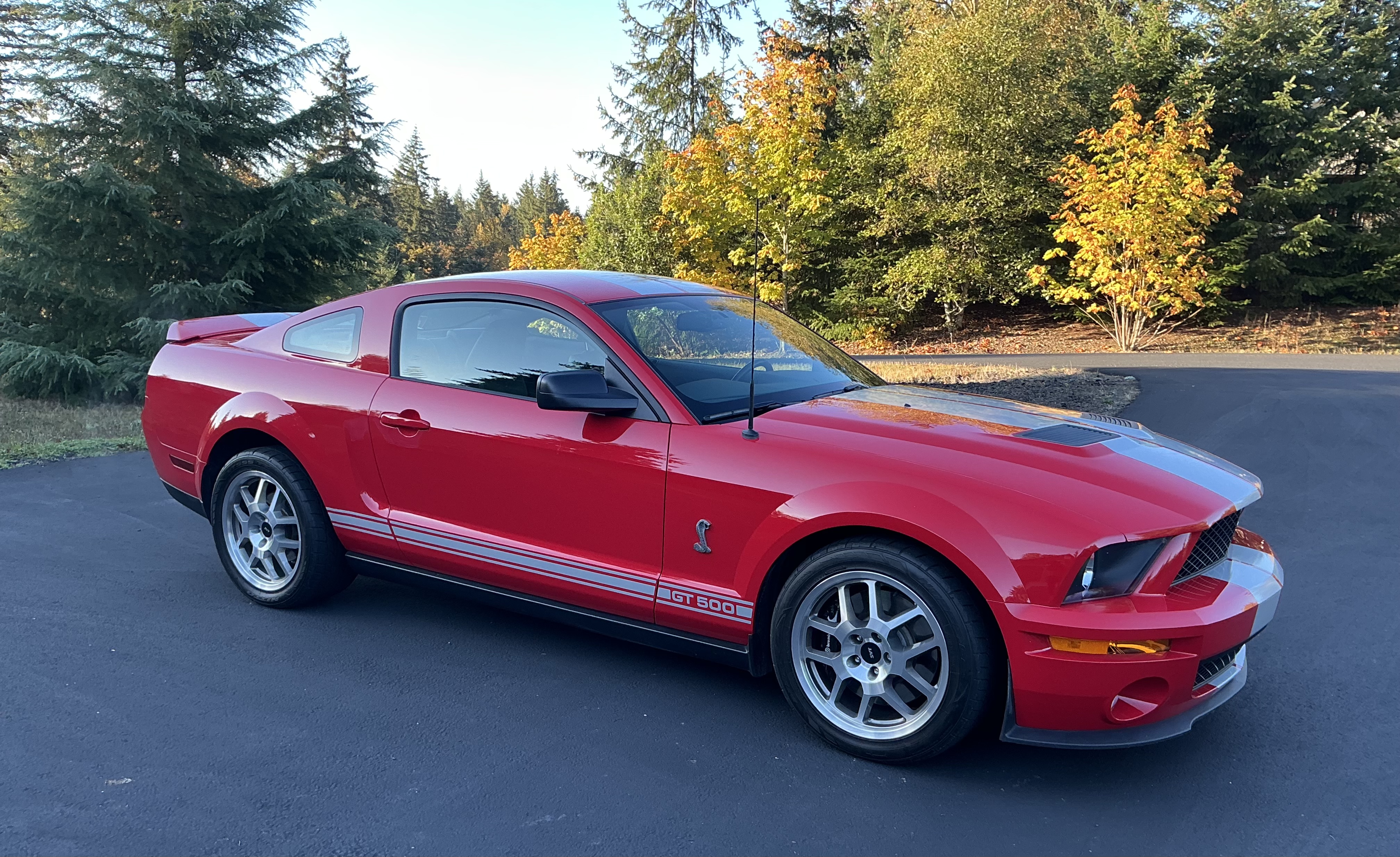 Used 2007 Ford Mustang Shelby GT500 RWD image 5
