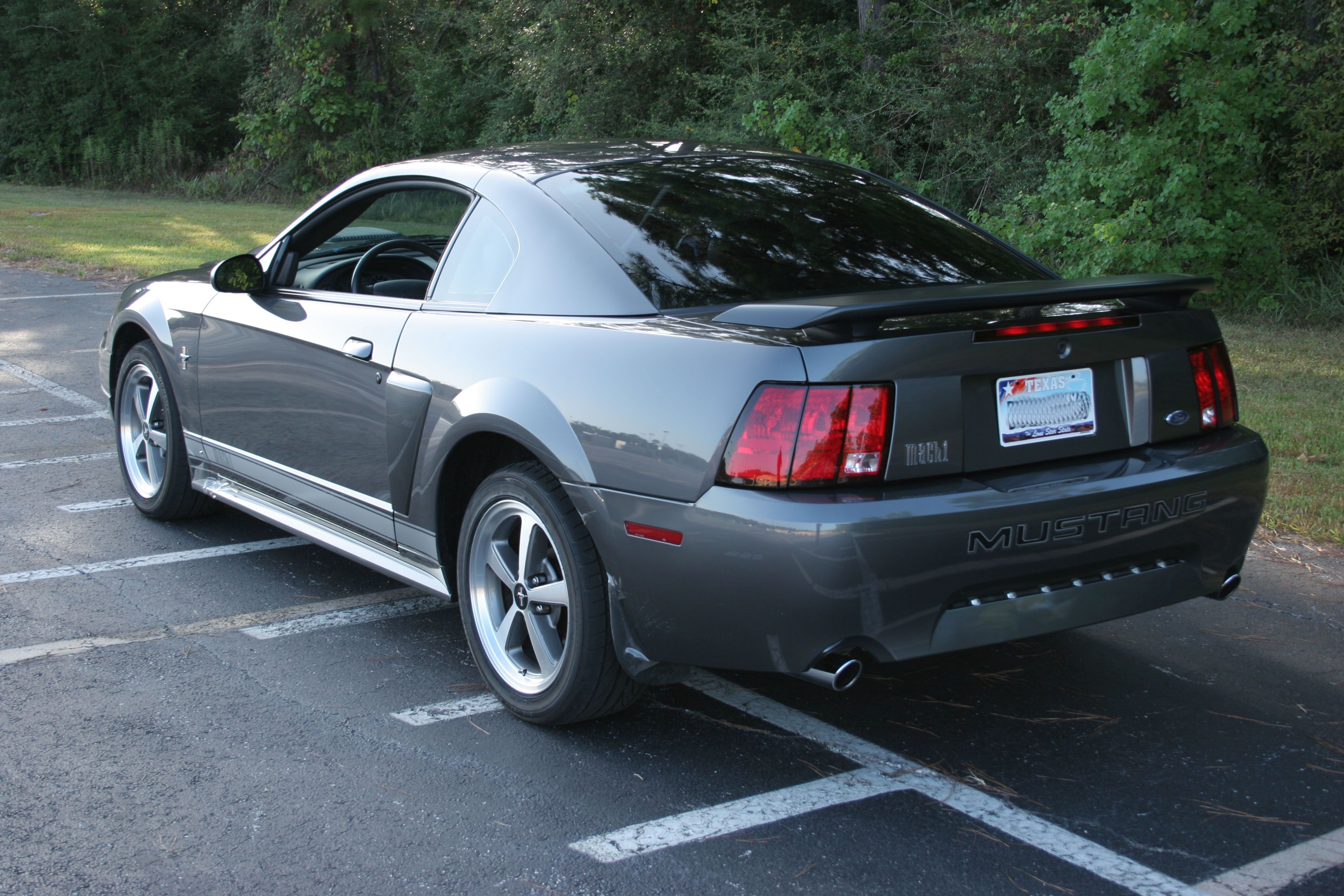 Used 2003 Ford Mustang Mach 1 RWD image 2