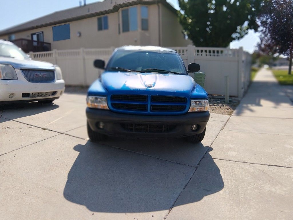 Used 1999 Dodge Dakota Sport RWD image 2