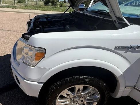 Used 2009 Ford F150 Platinum image 5