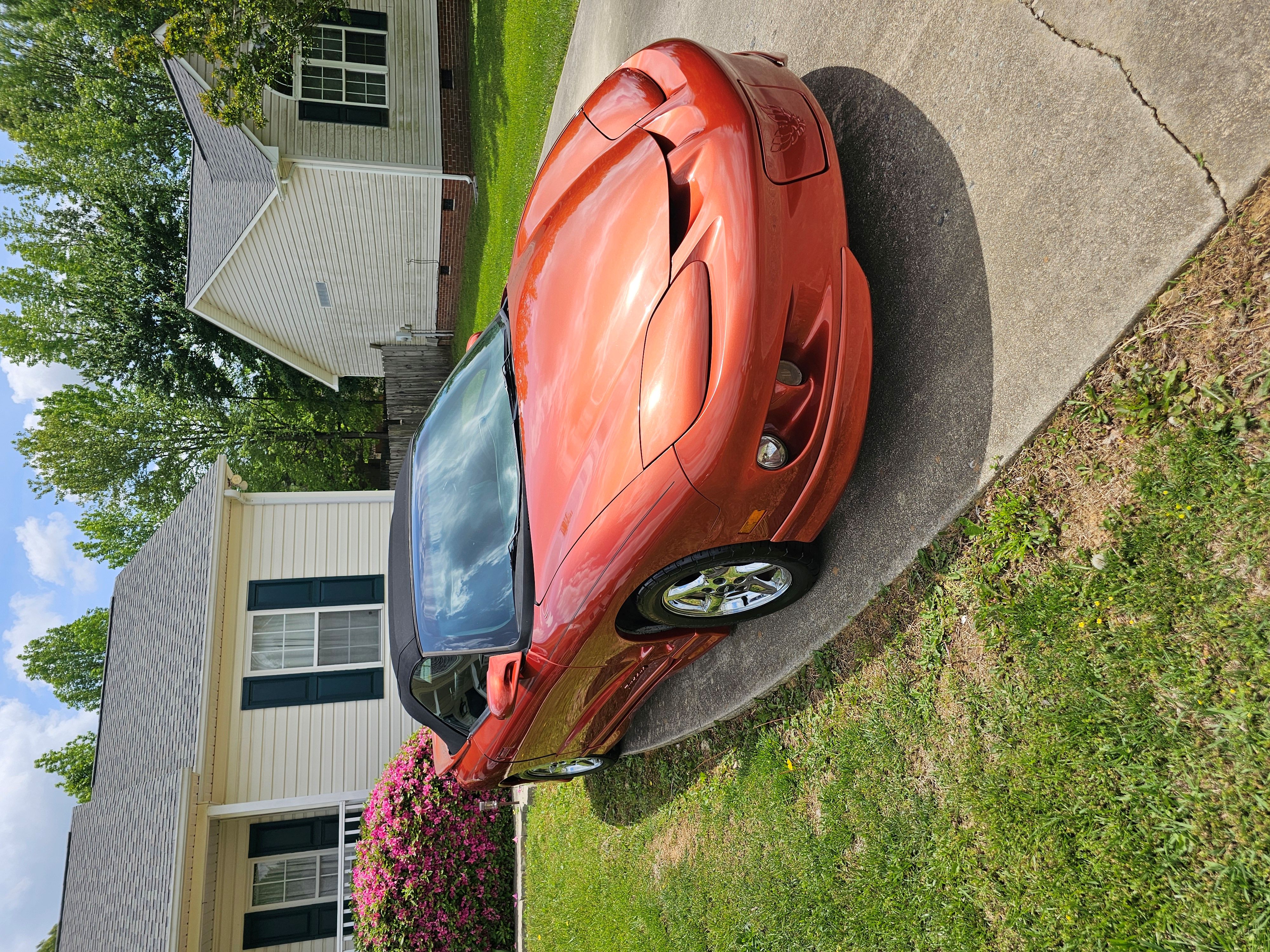 Used 2002 Pontiac Firebird Convertible w/ Sport Appearance Pkg RWD image 1