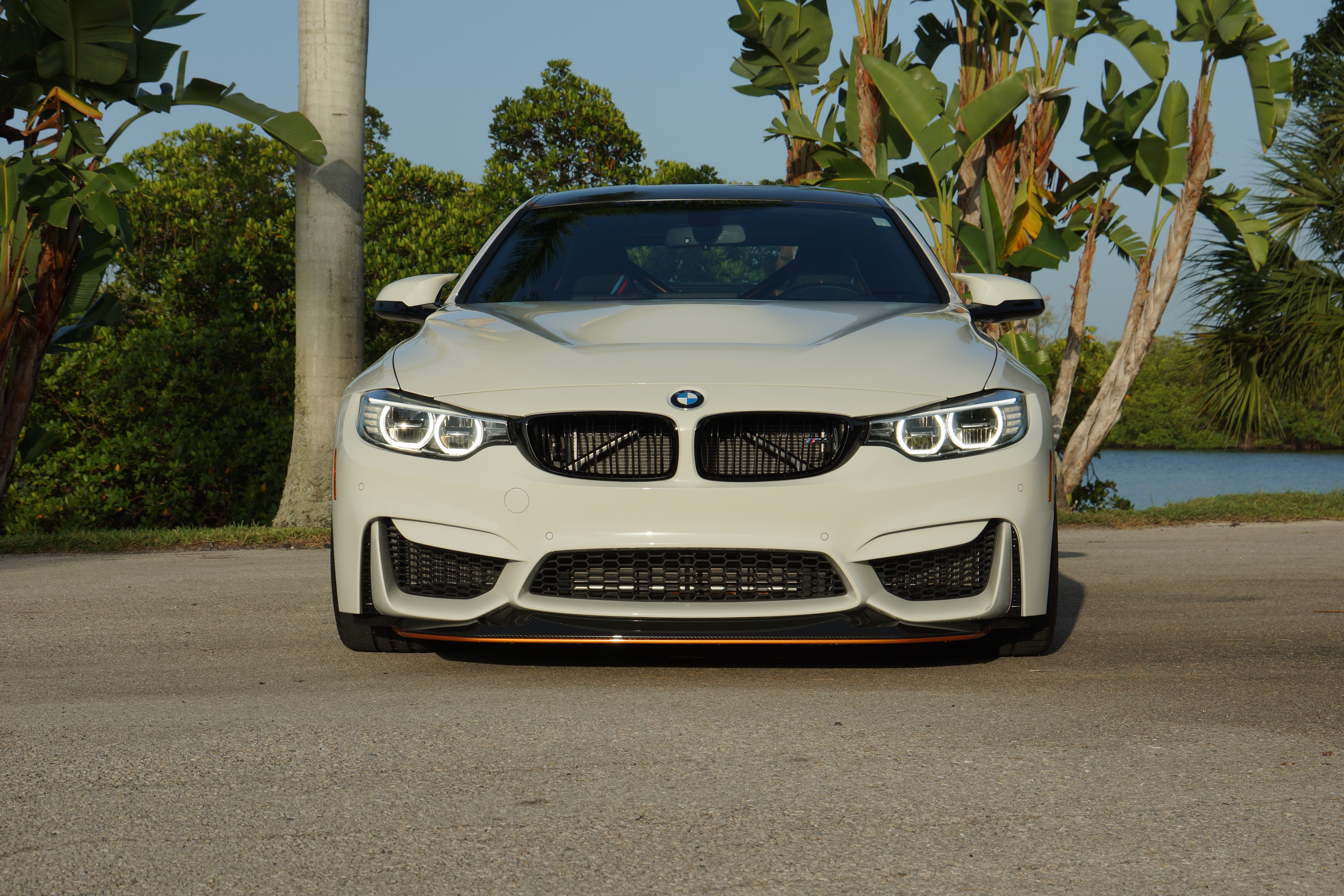 Used 2016 BMW M4 GTS RWD image 2