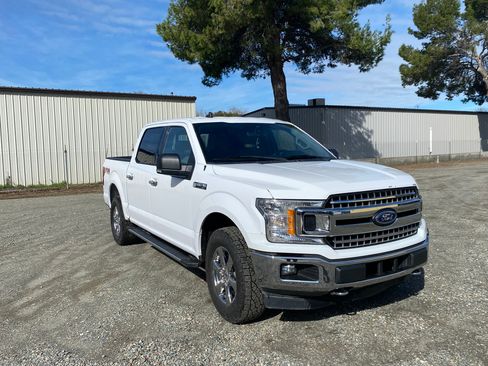 Used 2019 Ford F150 XLT w/ Equipment Group 302A Luxury image 1