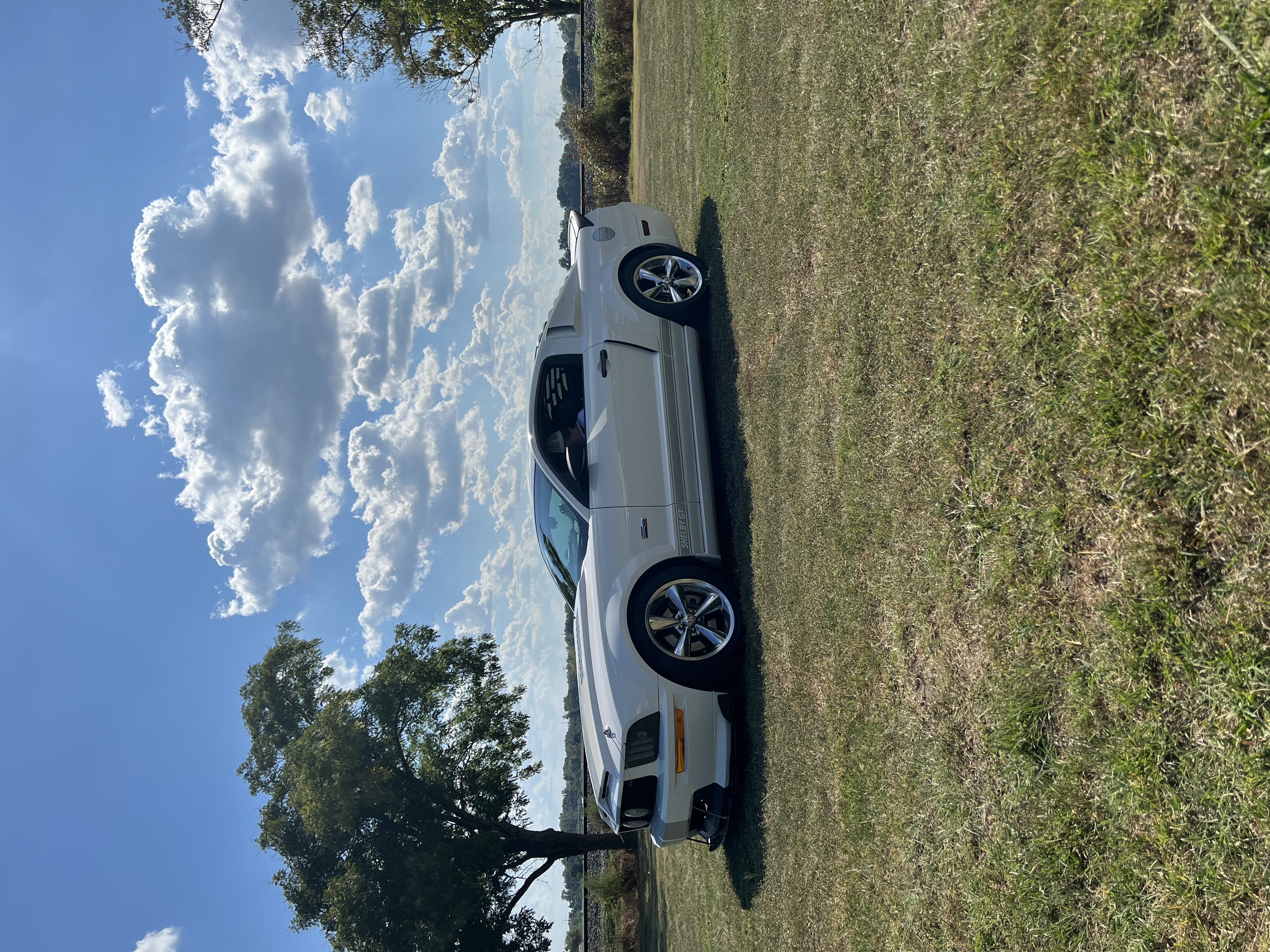 Used 2007 Ford Mustang GT Premium RWD image 4