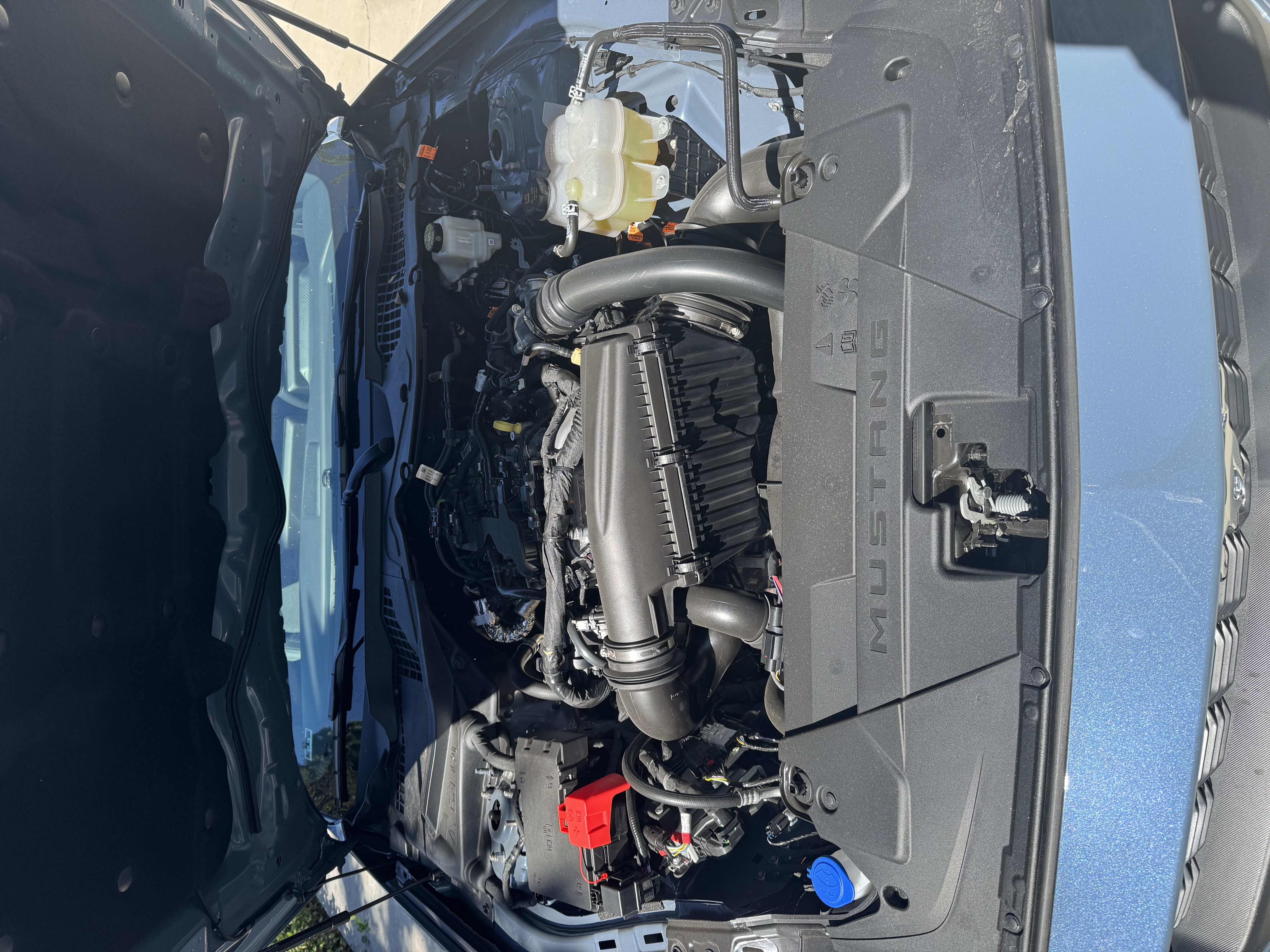 Used 2026 Ford Mustang Coupe RWD image 12
