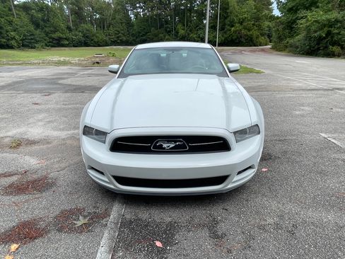 Used 2014 Ford Mustang Premium w/ Equipment Group 202A RWD image 5