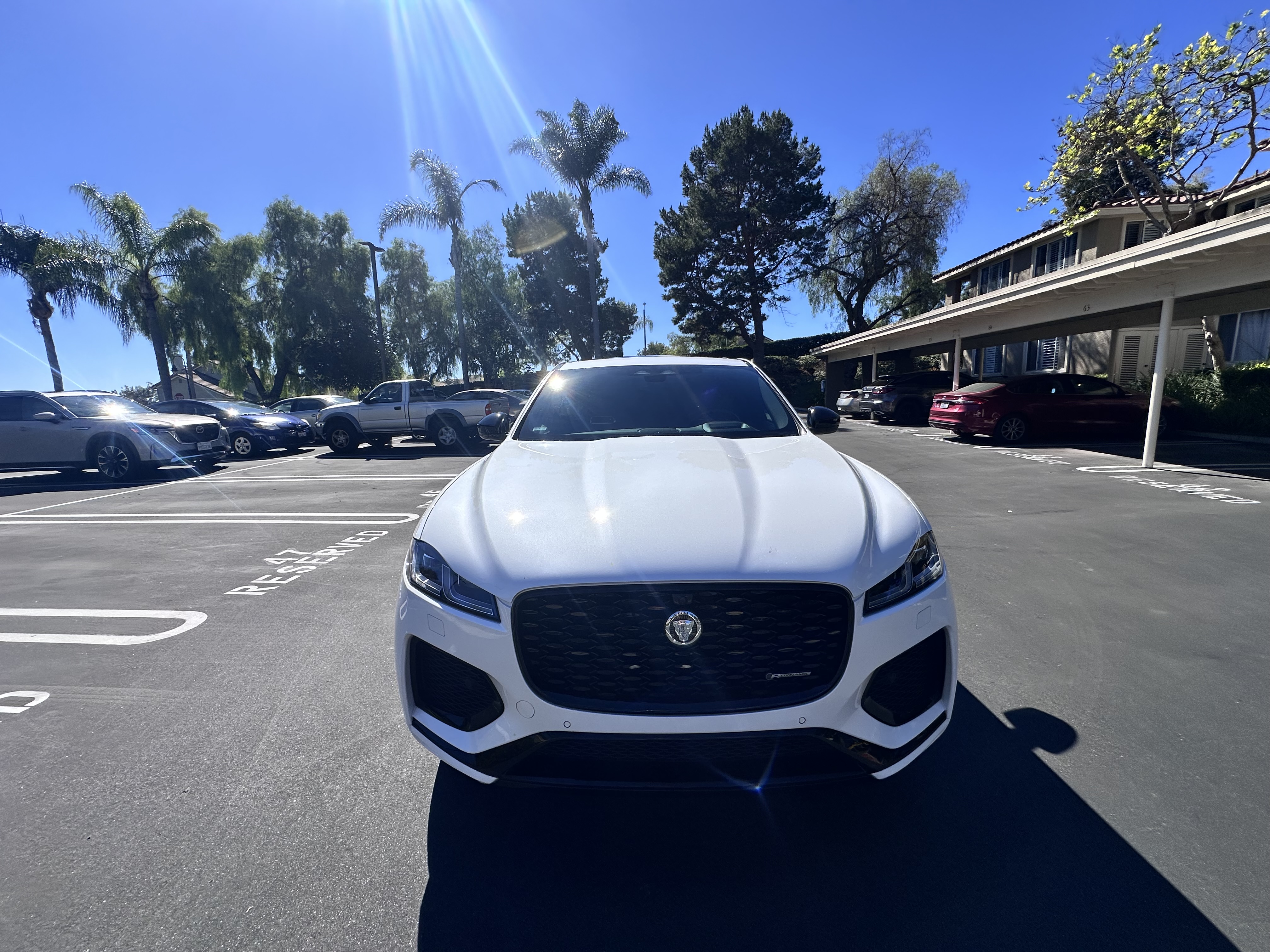 Used 2024 Jaguar F-PACE R-Dynamic S AWD/4WD image 2