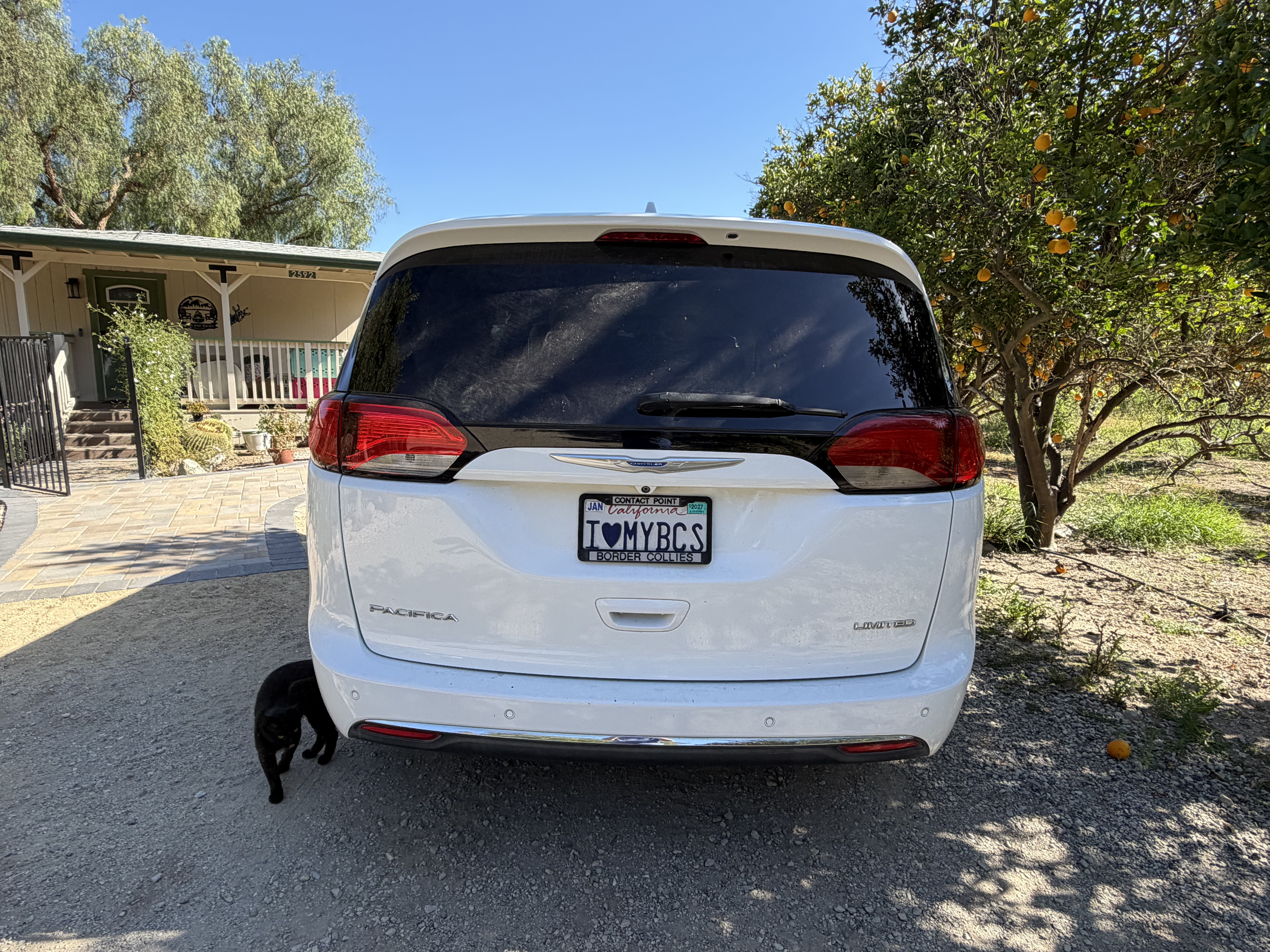 Used 2018 Chrysler Pacifica Limited w/ Tire & Wheel Group FWD image 6