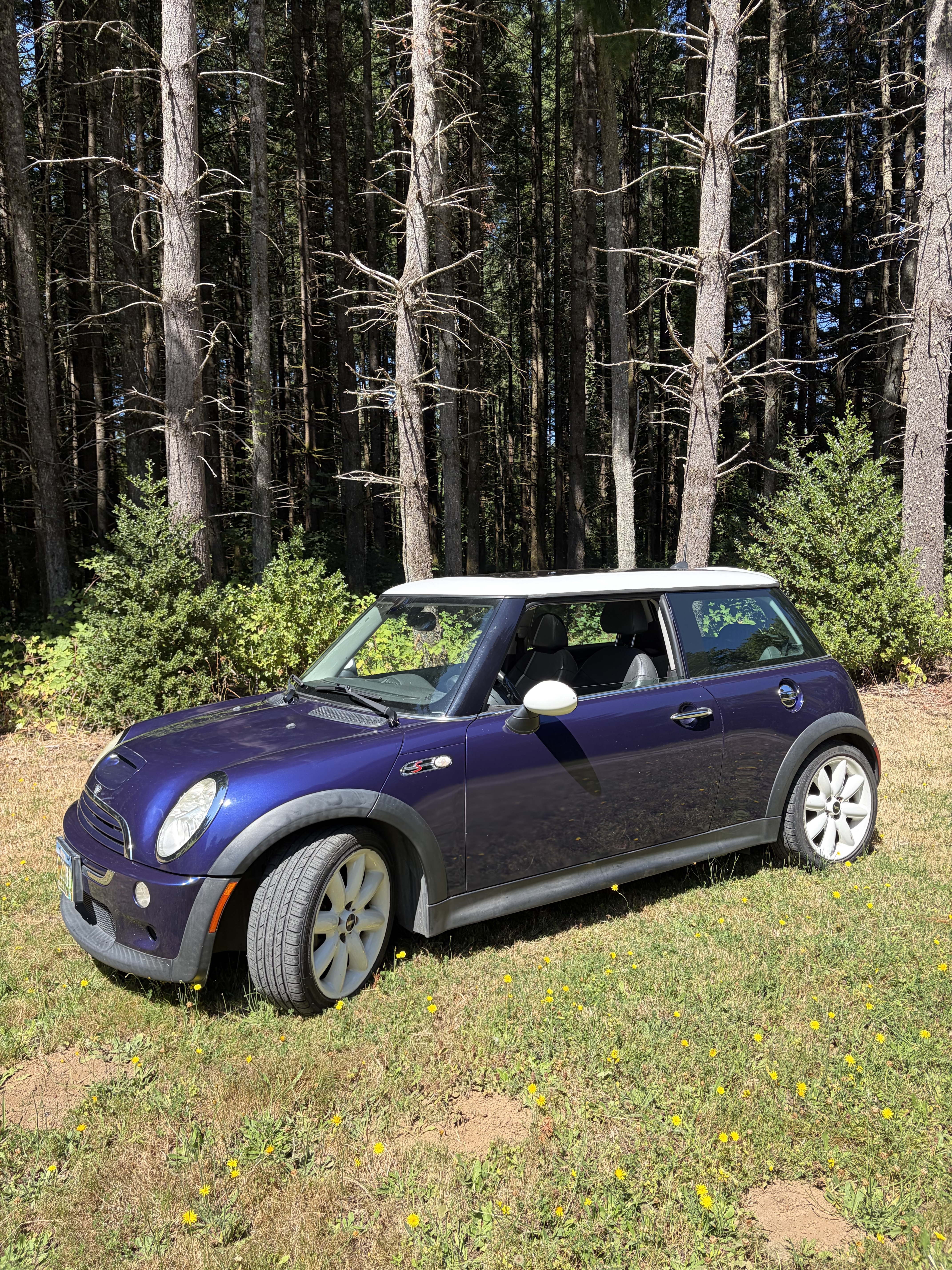 Used 2005 MINI Cooper S FWD image 17