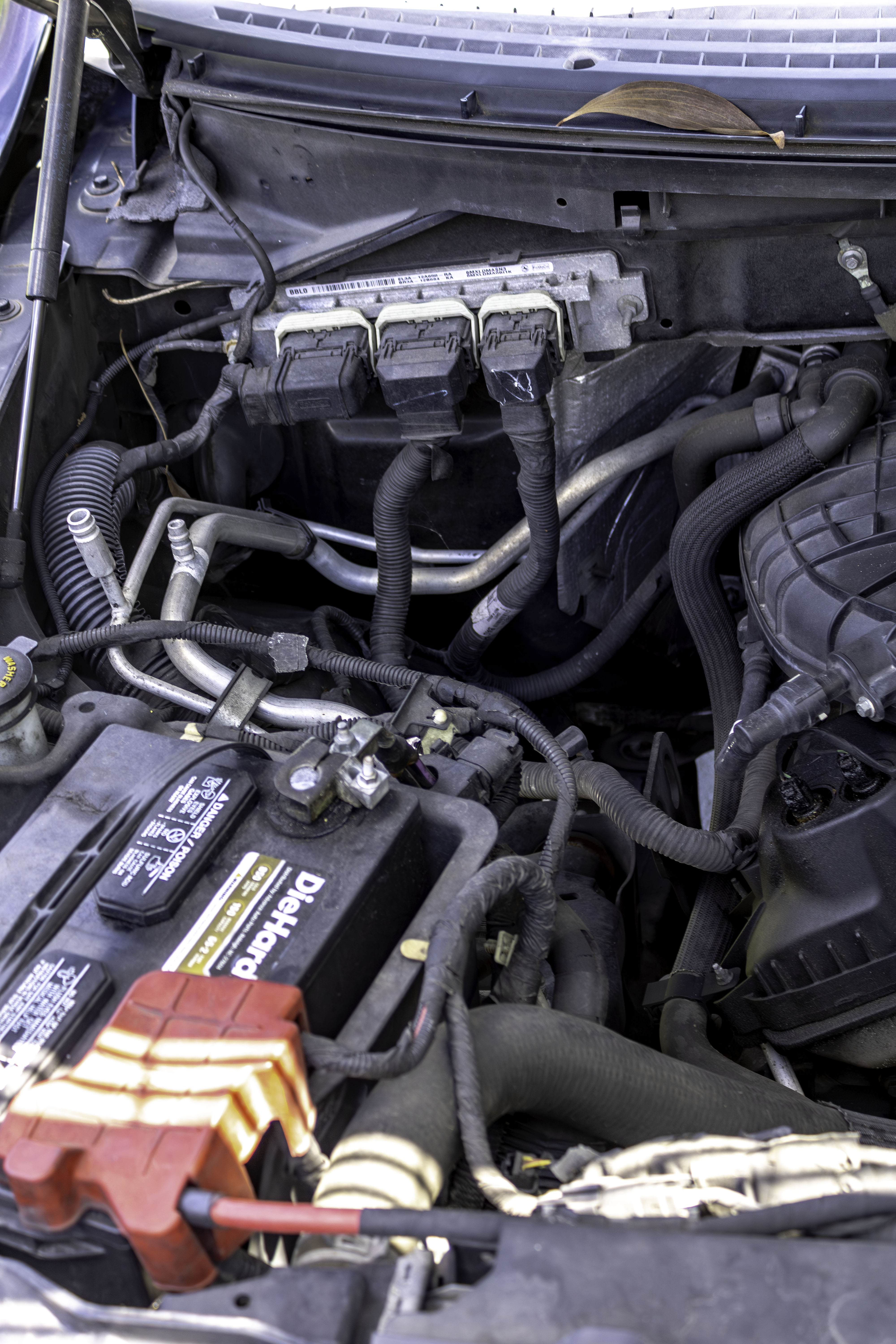 Used 2014 Ford F150 XLT RWD image 25
