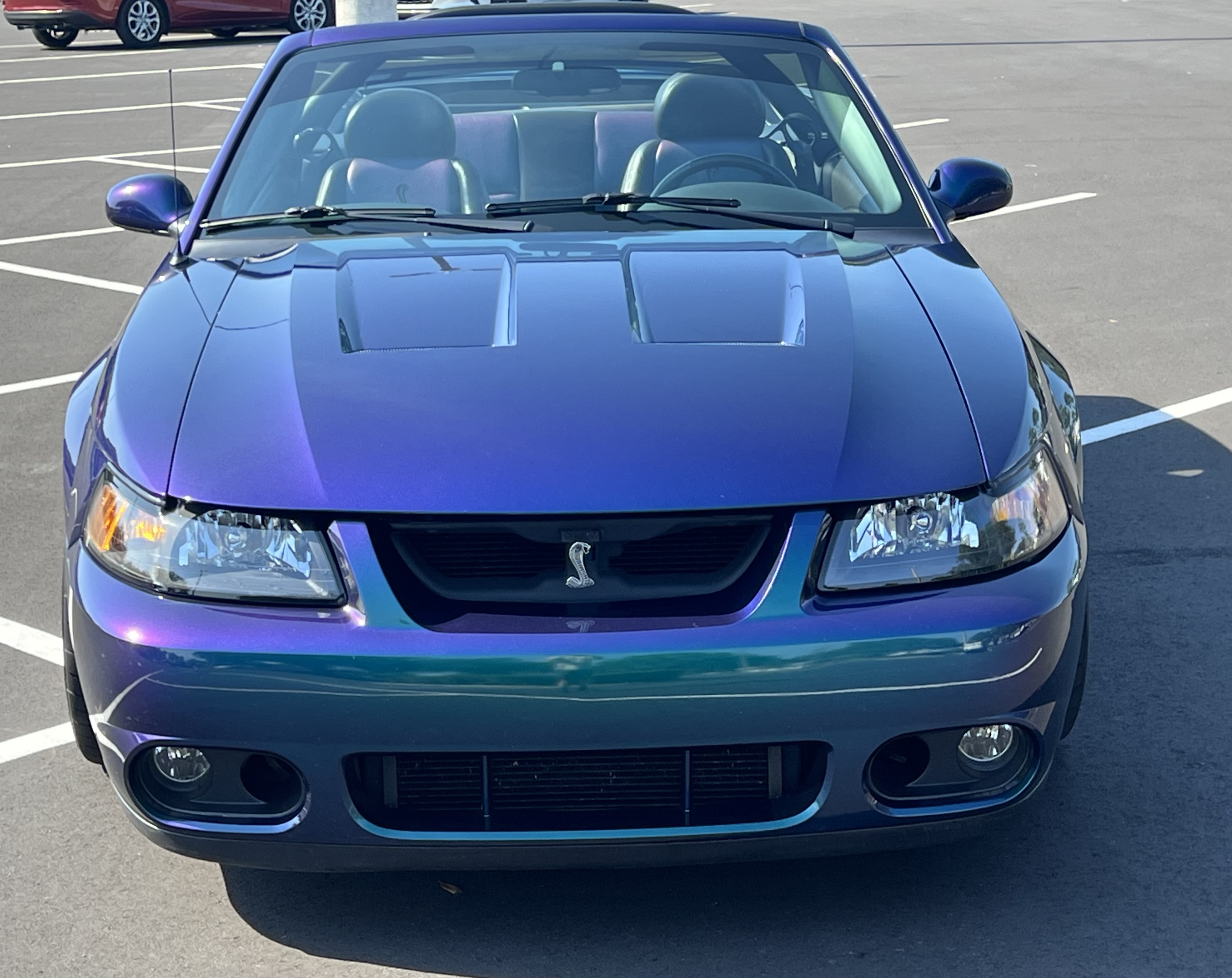 Used 2004 Ford Mustang Cobra RWD image 9