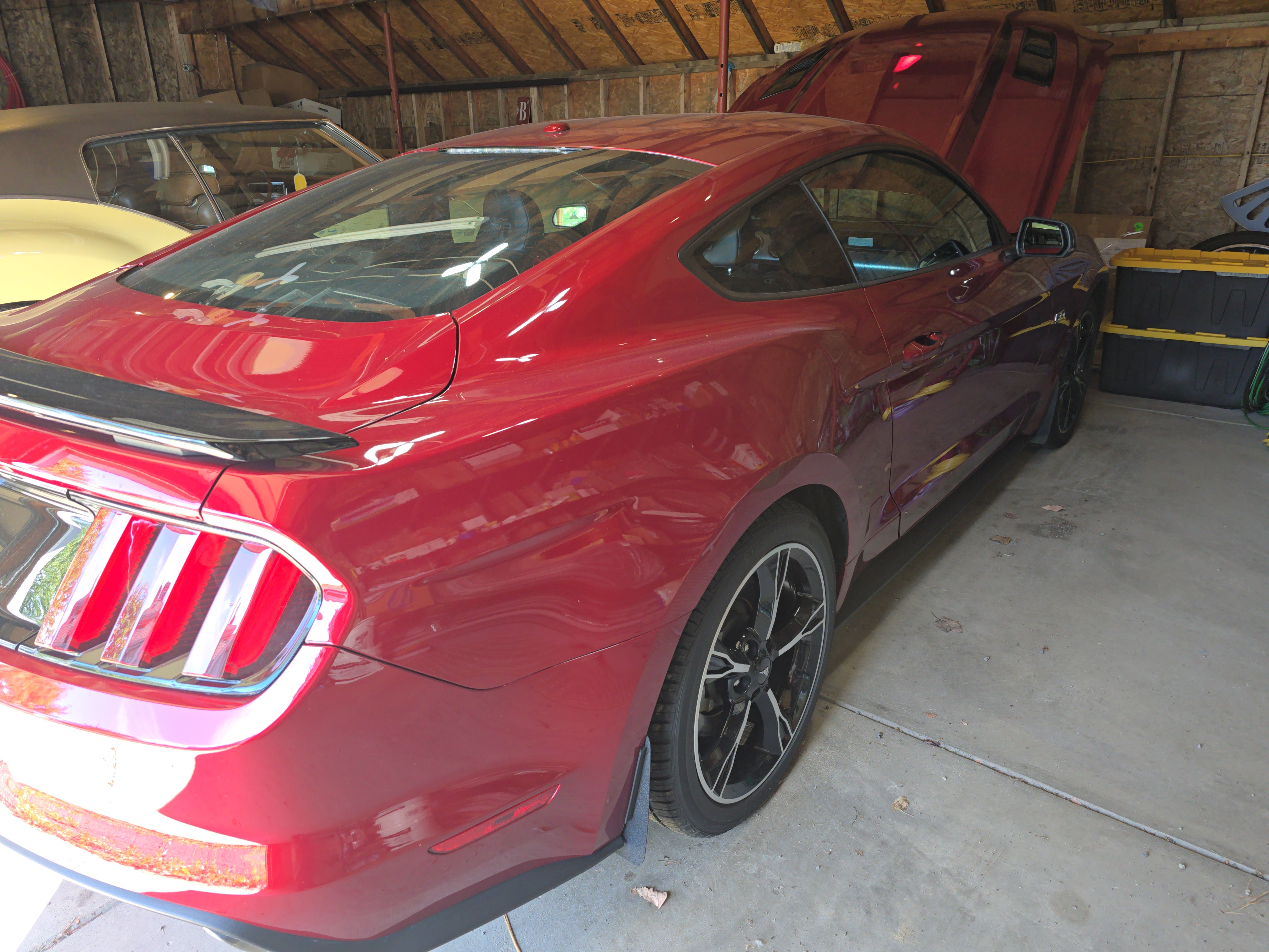 Used 2017 Ford Mustang GT Premium w/ Equipment Group 401A RWD image 4