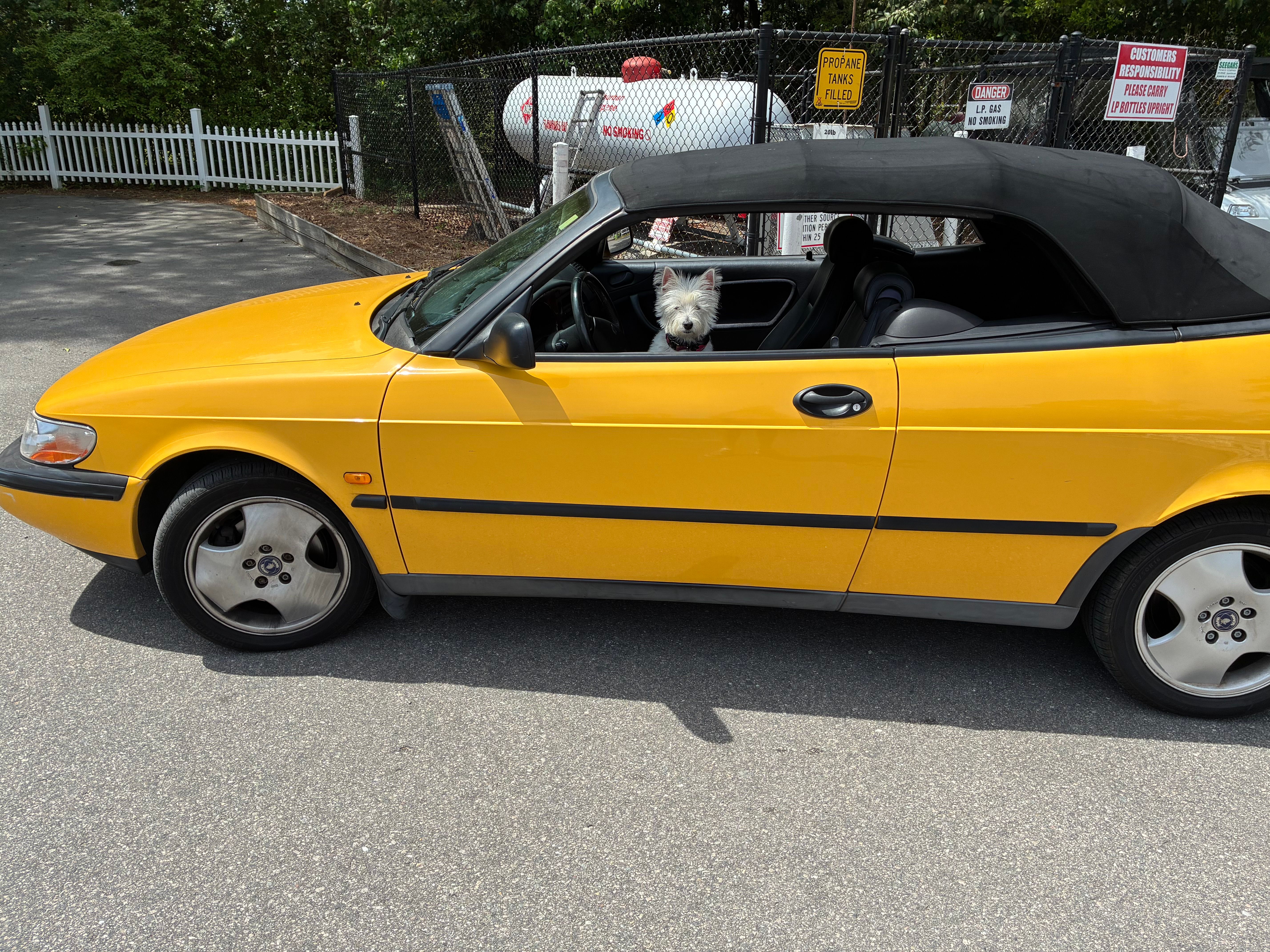 Used 1997 Saab 900 SE Turbo FWD image 1
