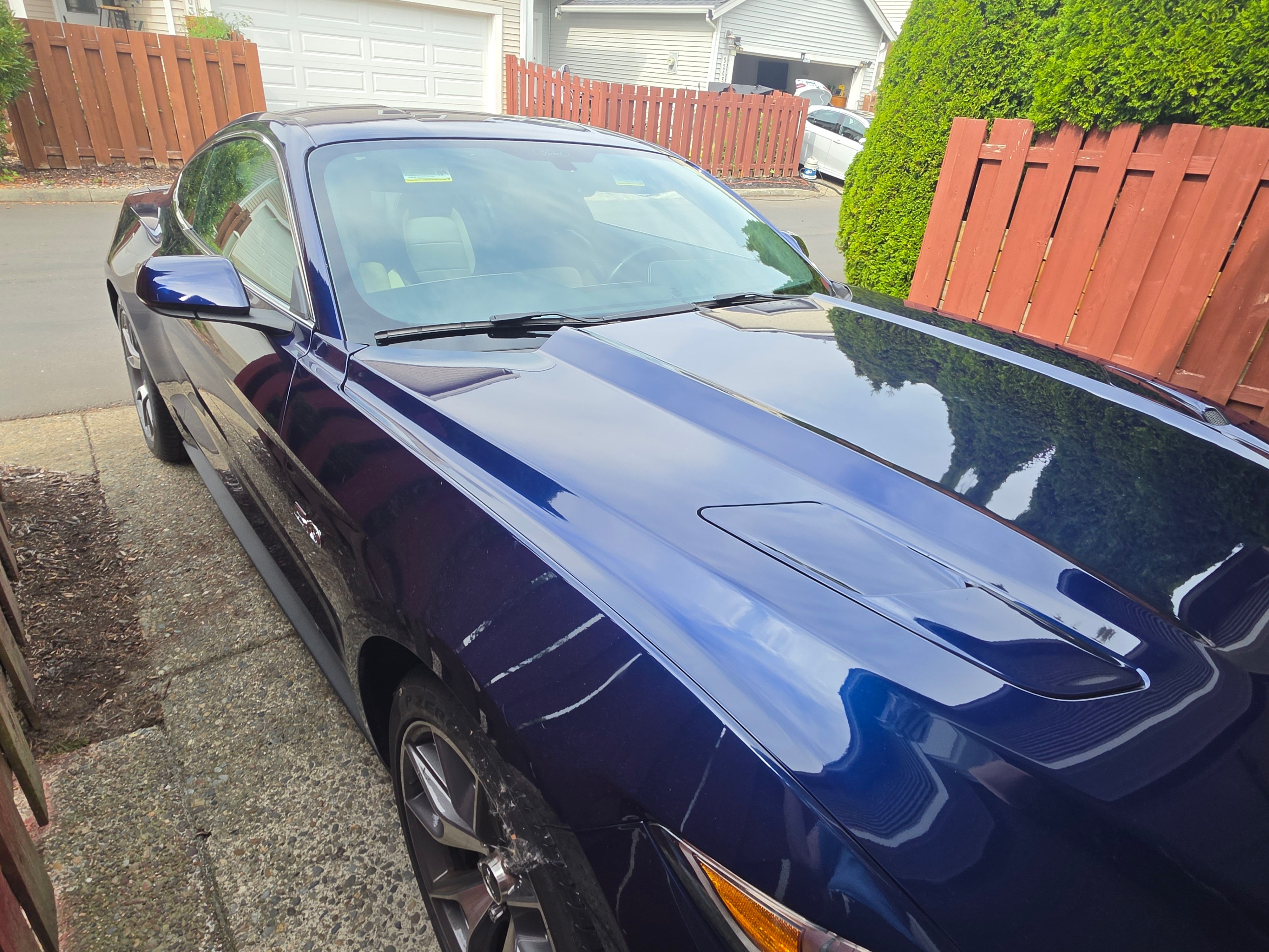 Used 2015 Ford Mustang 50 Years RWD image 17