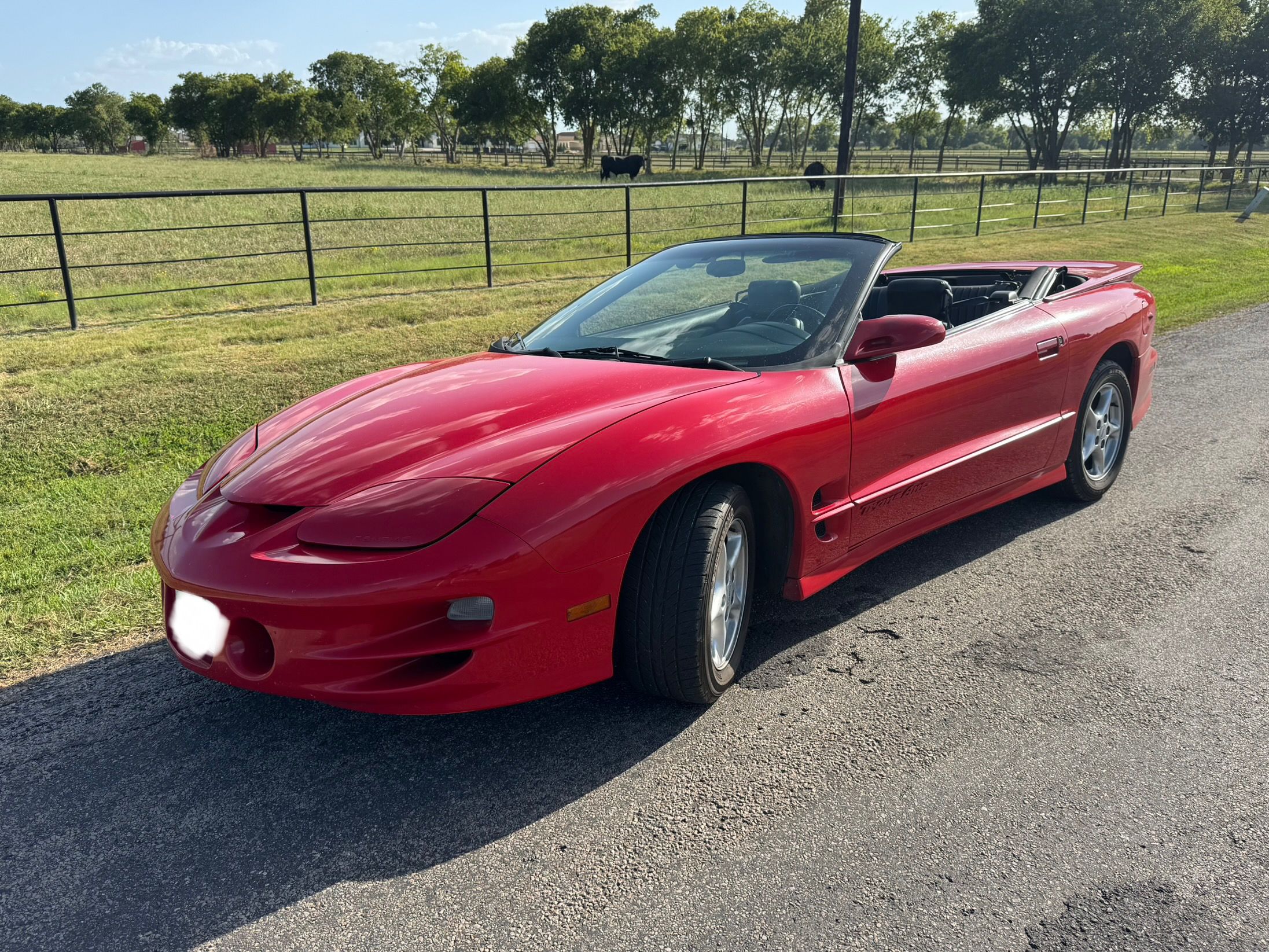 Used 2002 Pontiac Firebird Trans Am RWD image 1