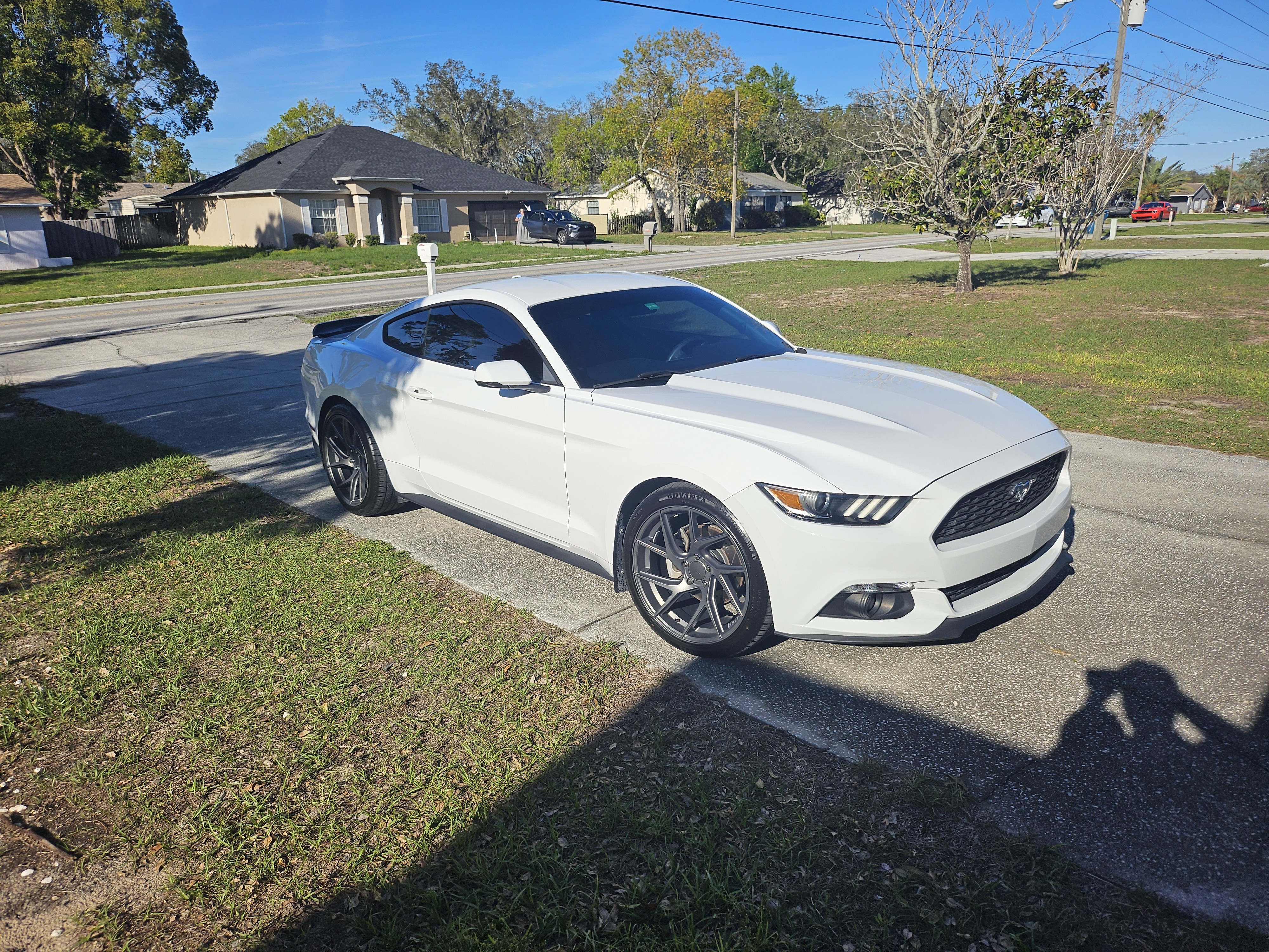 Used 2017 Ford Mustang Premium RWD image 1