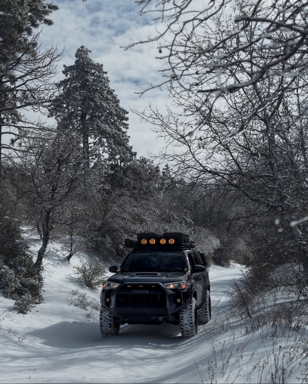 Used 2019 Toyota 4Runner TRD Off-Road AWD/4WD image 8