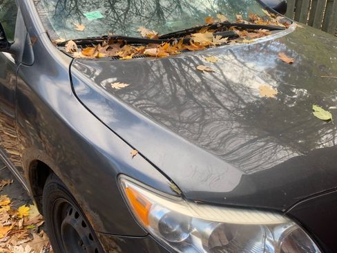 Used 2010 Toyota Corolla LE image 12