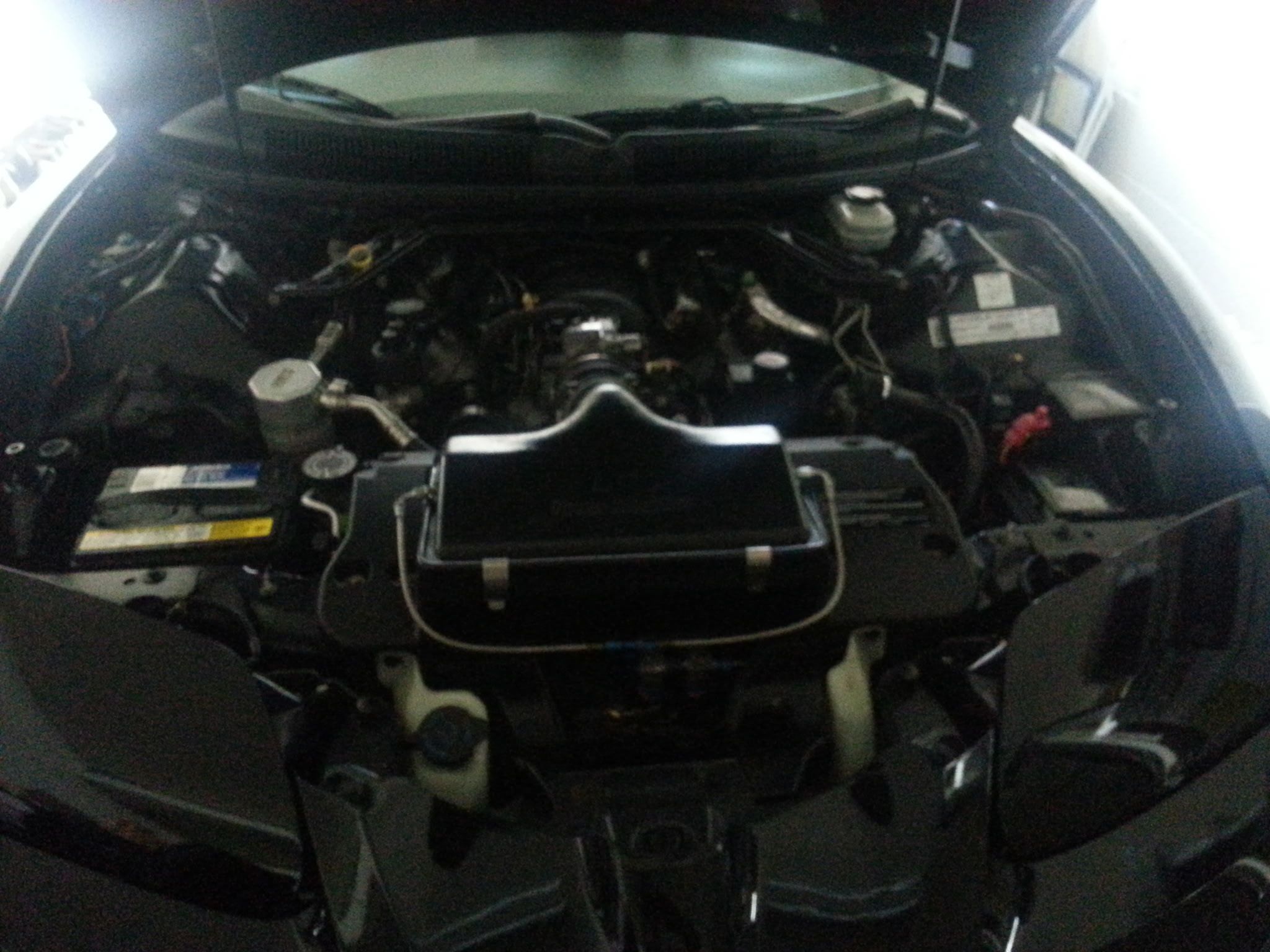 Used 2000 Pontiac Firebird Formula RWD image 12