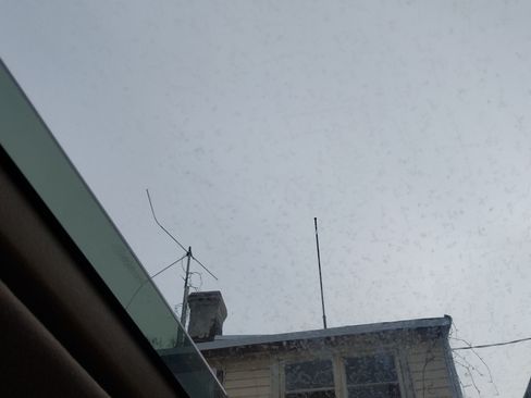 Used 1999 Toyota Avalon XL image 6