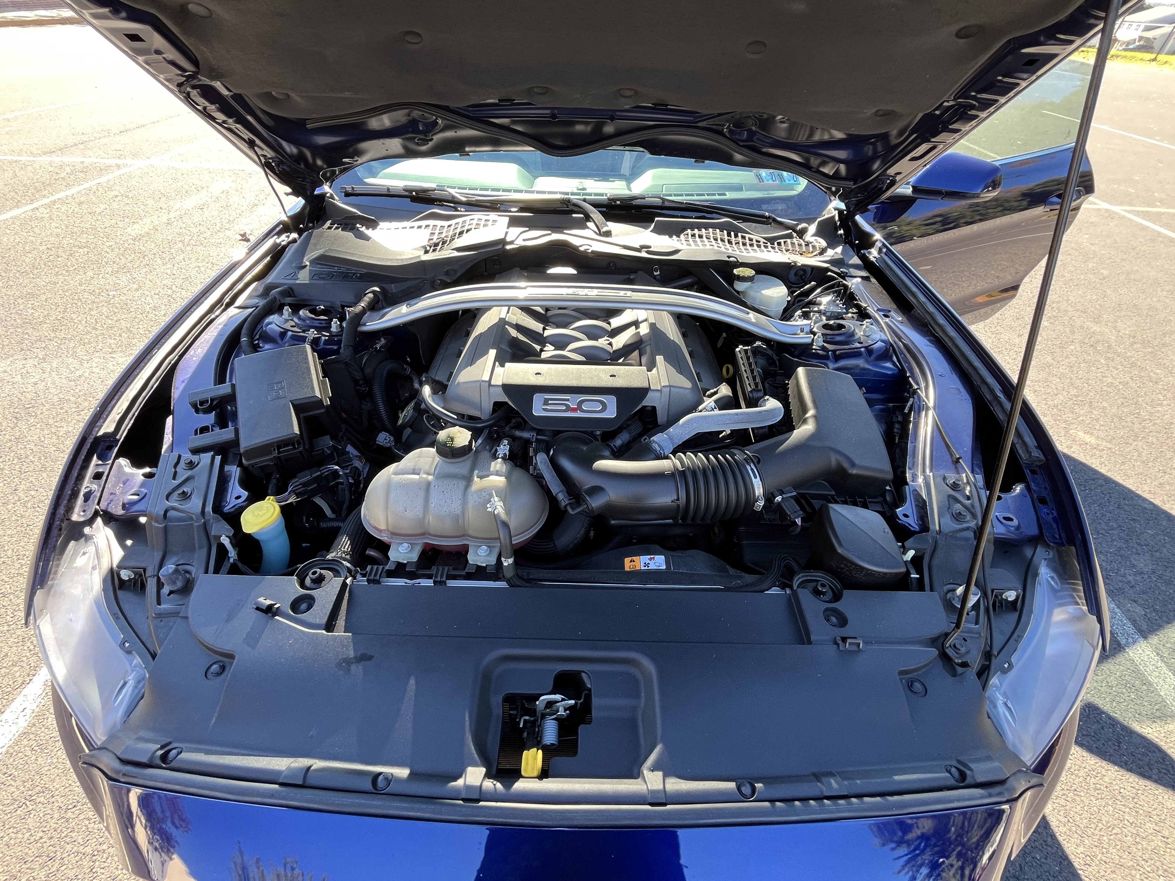 Used 2015 Ford Mustang 50 Years RWD image 9