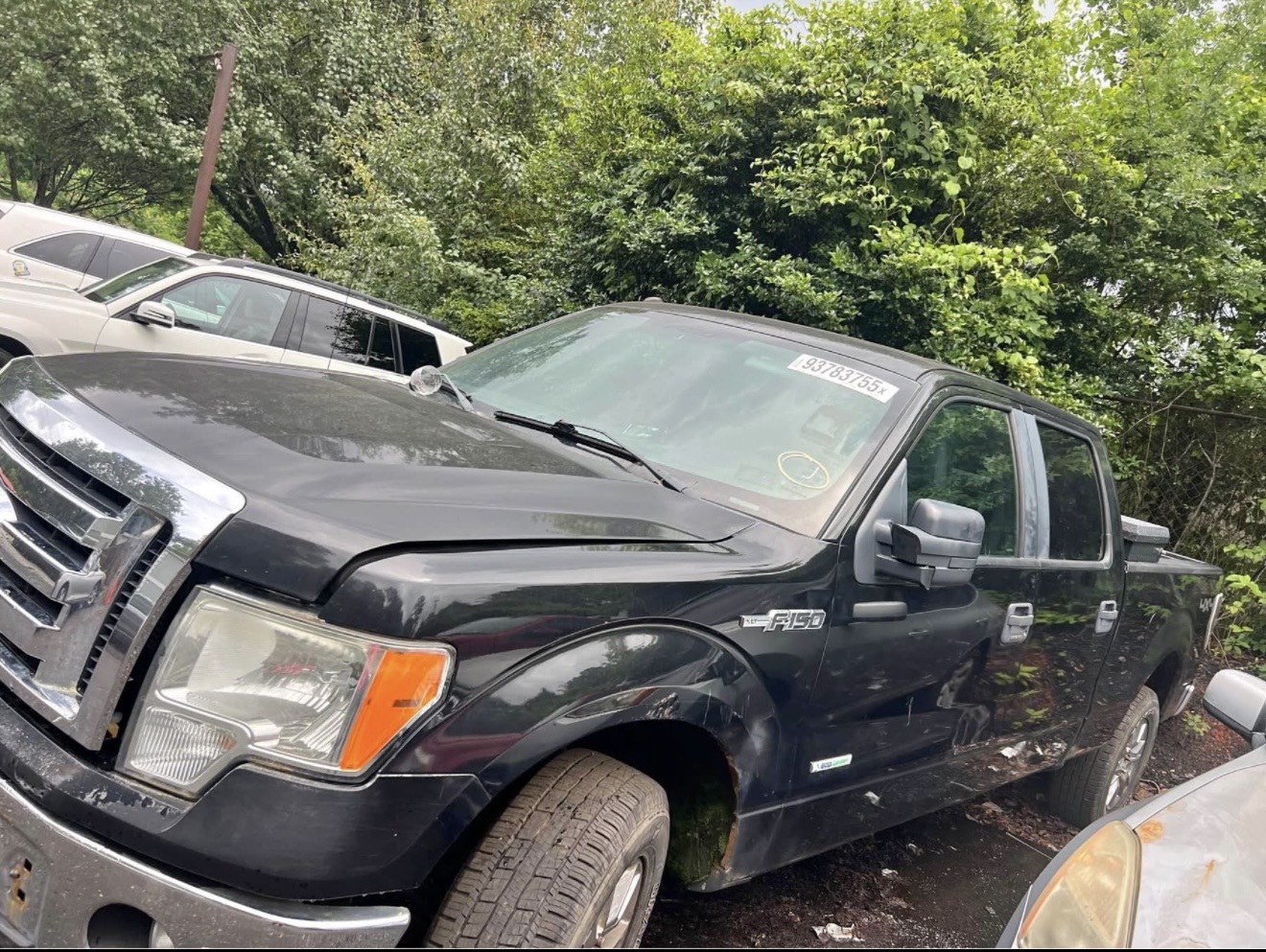 Used 2011 Ford F150 XLT w/ Max Trailer Tow Pkg AWD/4WD image 3