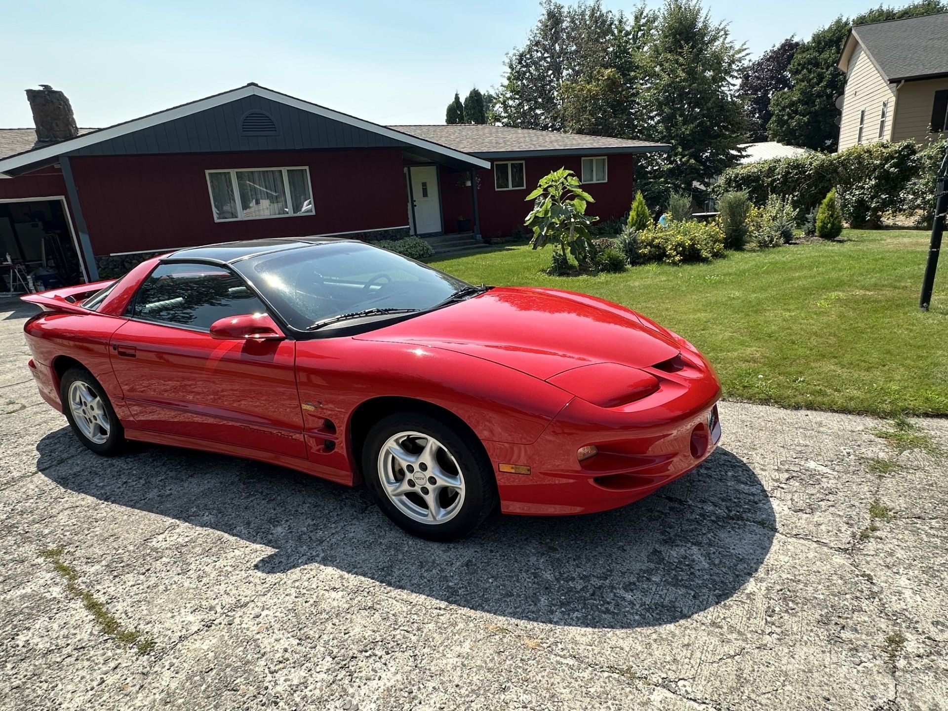 Used 2001 Pontiac Firebird Formula w/ Protection Group RWD image 5