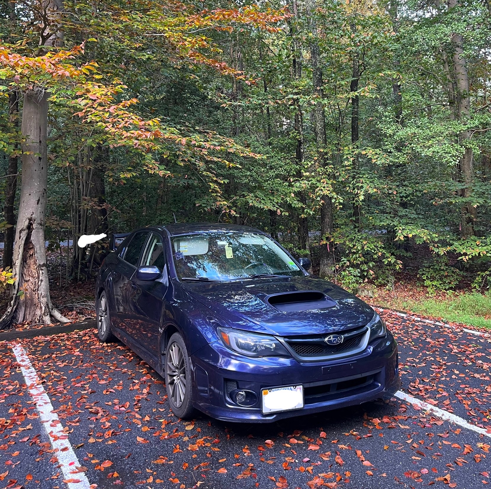 Used 2014 Subaru Impreza WRX Sedan AWD/4WD image 1