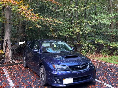Used 2014 Subaru Impreza WRX Sedan image 1