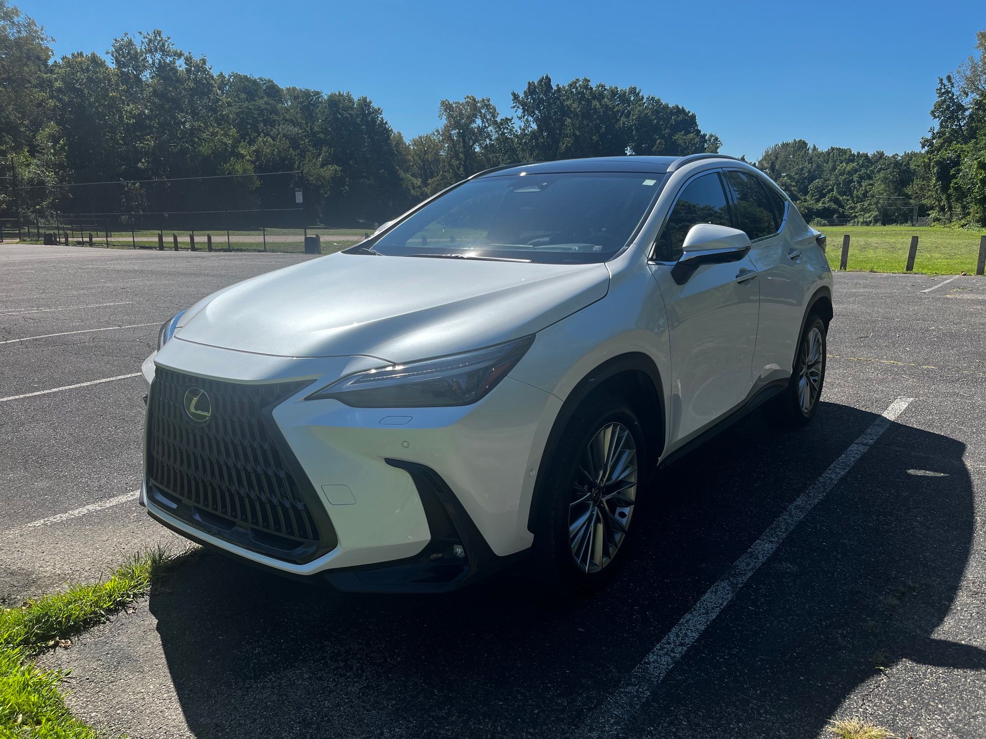 Used 2024 Lexus NX 350h AWD w/ Vision Package image 4