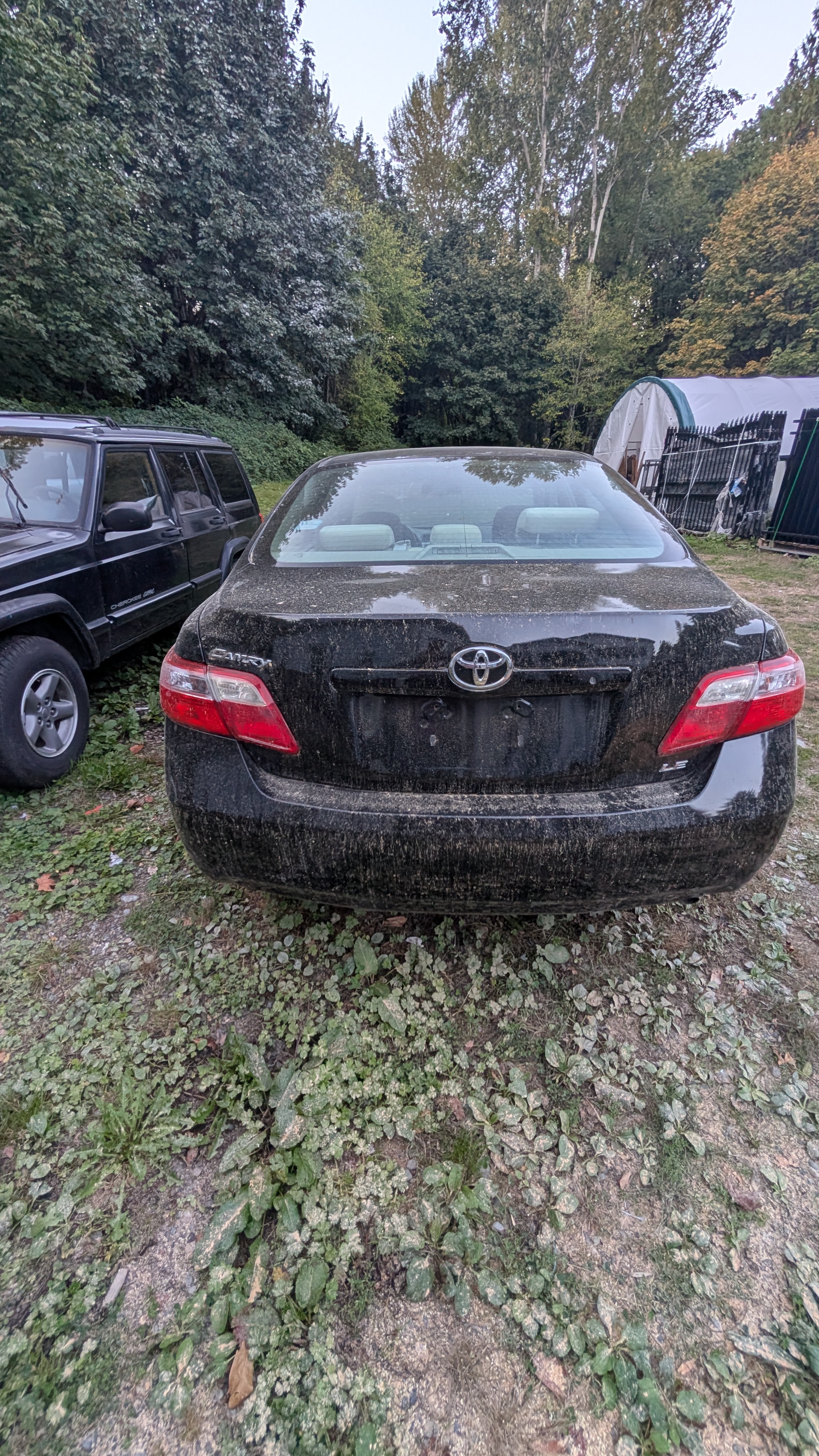Used 2009 Toyota Camry LE FWD image 6