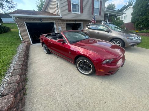 Used 2014 Ford Mustang Premium w/ Equipment Group 202A RWD image 11