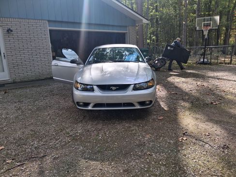 Used 2001 Ford Mustang Cobra image 12