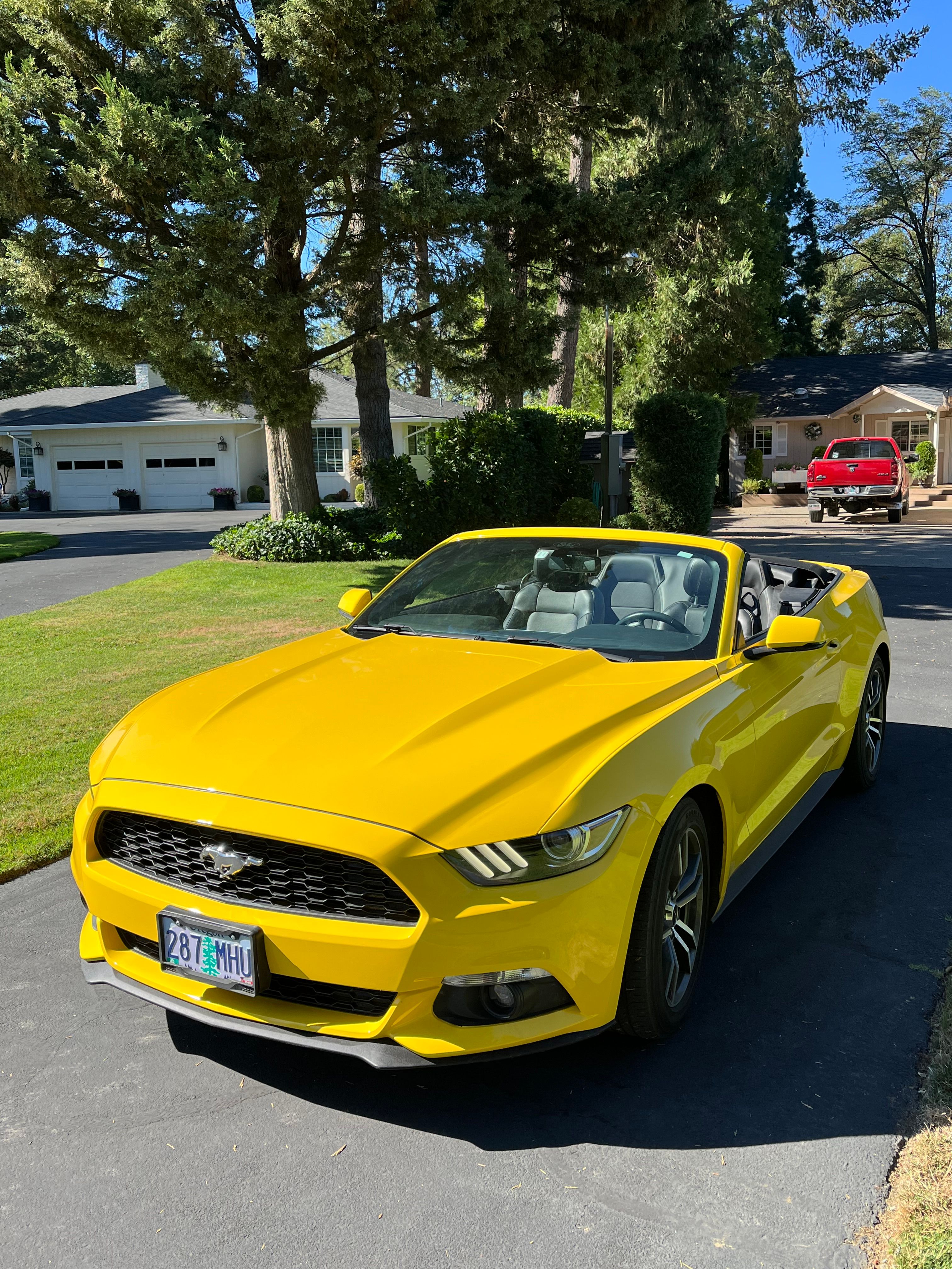 Used 2017 Ford Mustang Premium RWD image 1