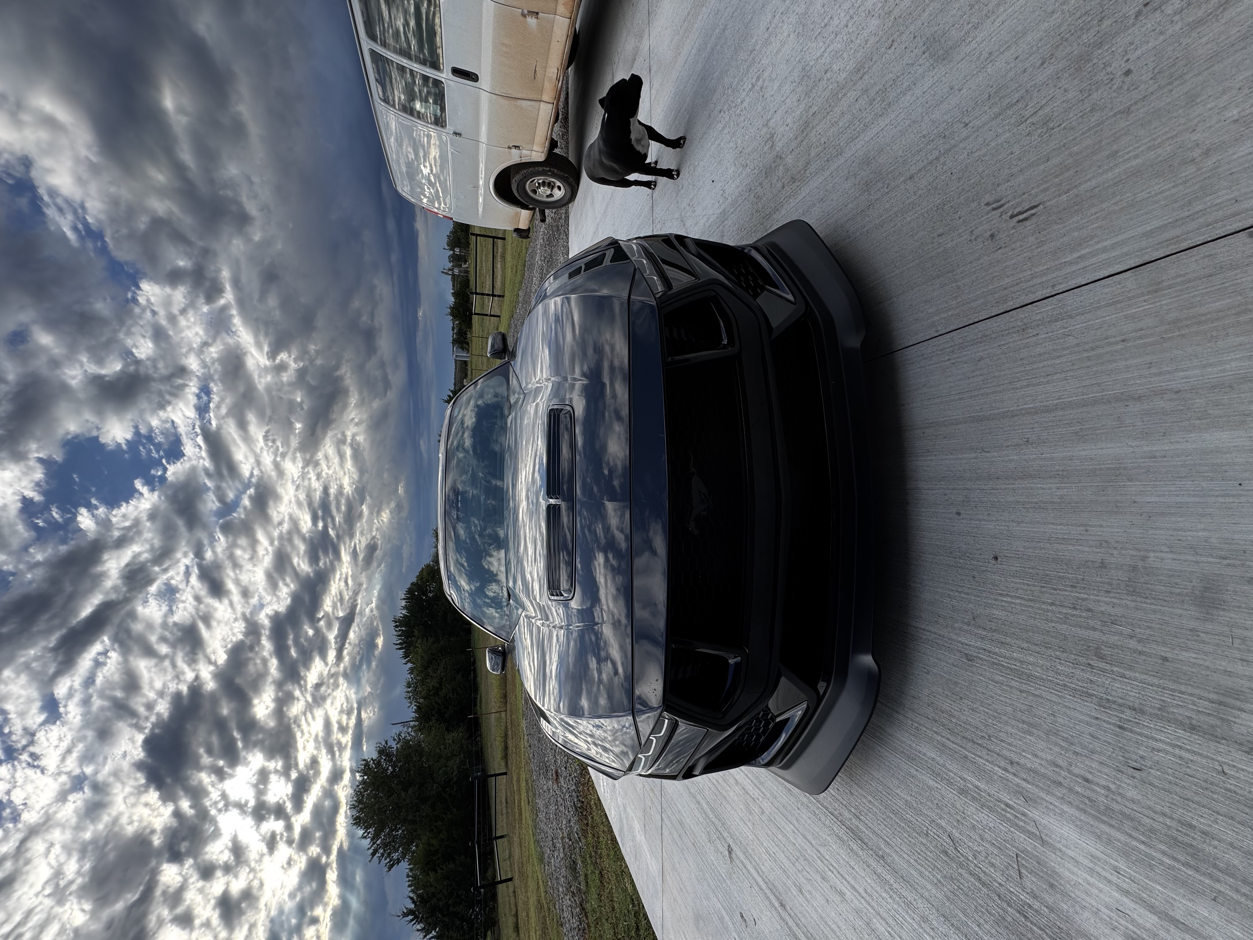 Used 2024 Ford Mustang GT Premium w/ GT Performance Package RWD image 8