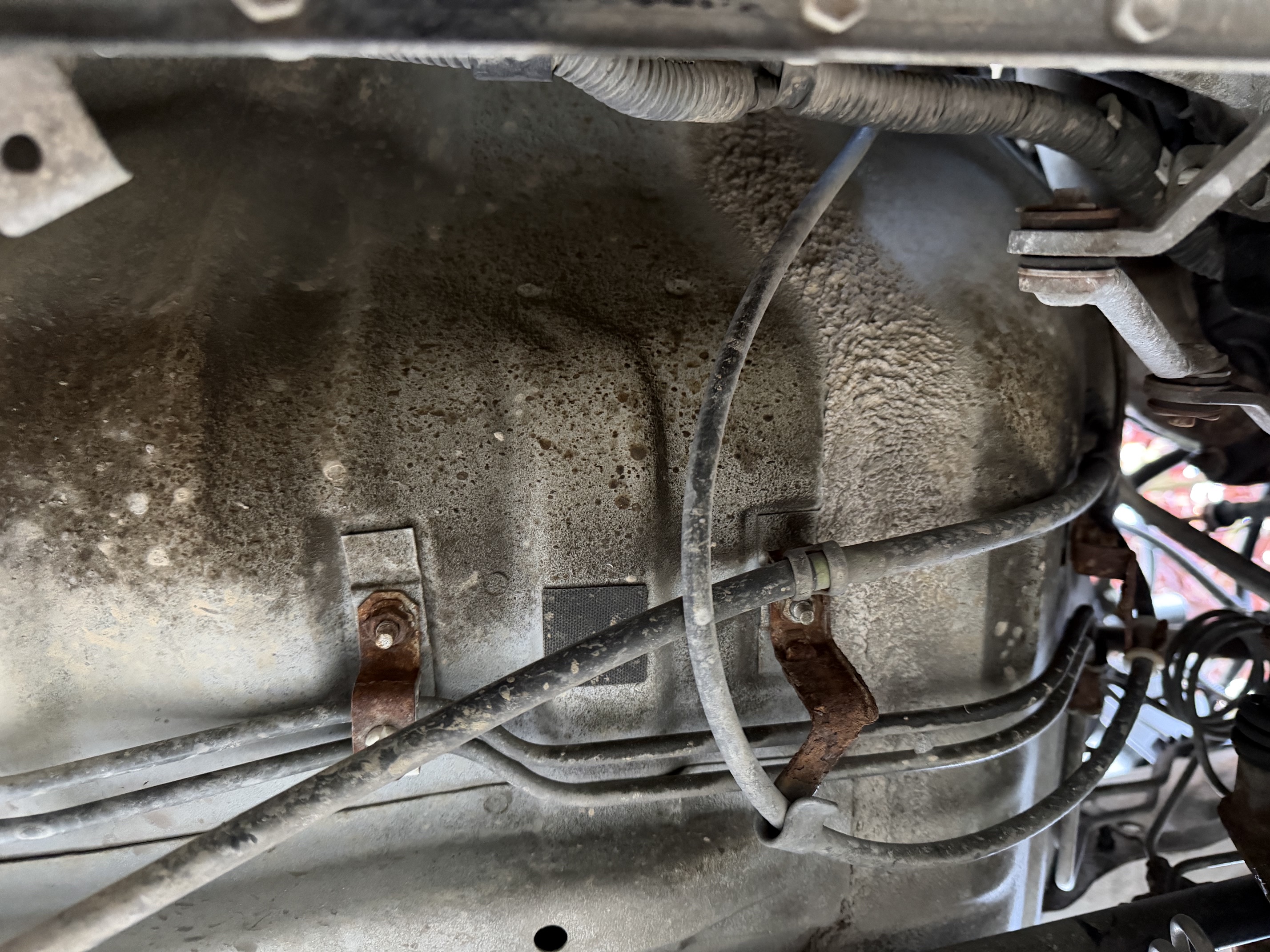 Used 1998 Toyota T100 SR5 AWD/4WD image 13