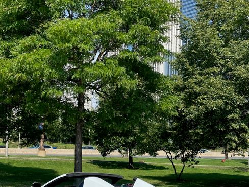 Used 2023 Chevrolet Corvette Stingray Premium Conv w/ Battery Protection Package image 4