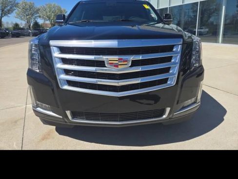Used 2019 Cadillac Escalade Luxury image 5