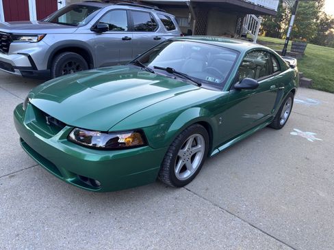 Used 1999 Ford Mustang Cobra RWD image 2