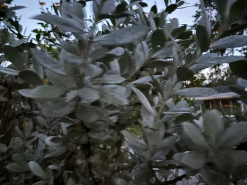 Used 2014 Toyota Prius Five image 19