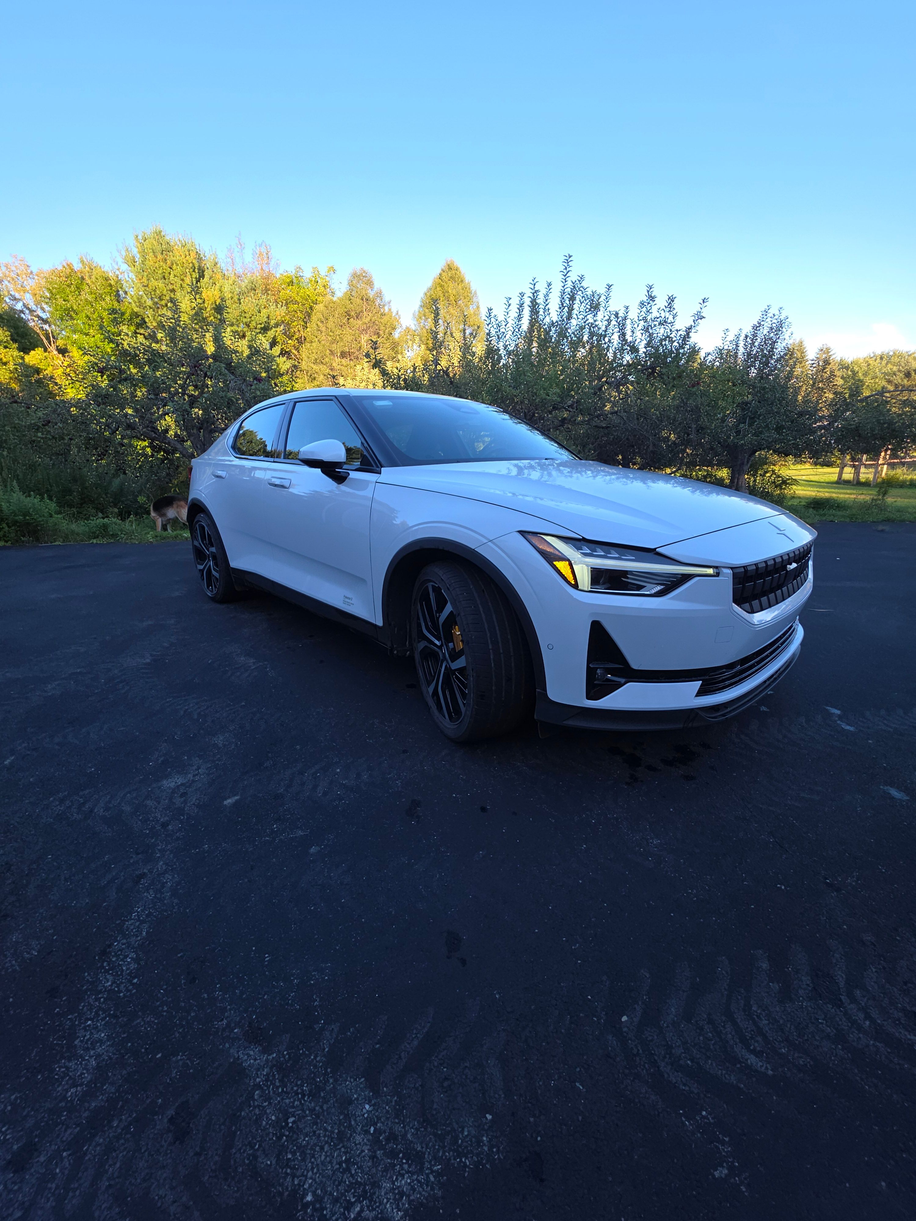 Used 2022 Polestar Polestar 2 w/ Performance Package AWD/4WD image 2