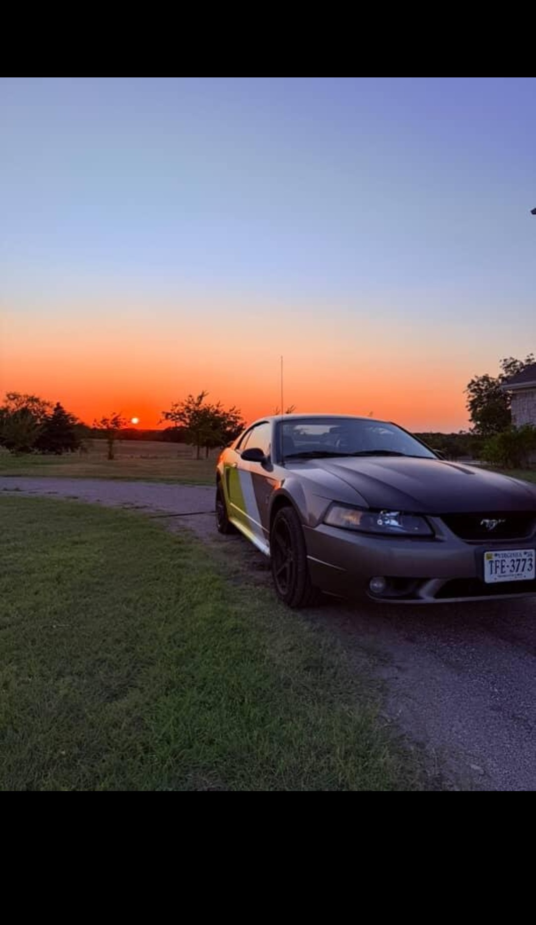 Used 2001 Ford Mustang Cobra RWD image 1