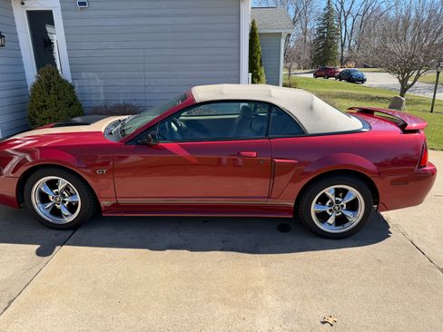 Used 2002 Ford Mustang GT Premium RWD image 1