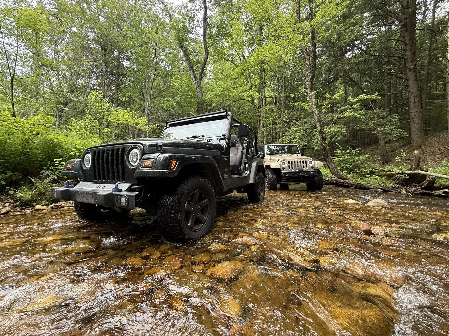 Used 2001 Jeep Wrangler Sport AWD/4WD image 6