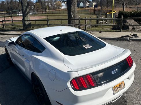 Used 2015 Ford Mustang GT Premium w/ Equipment Group 401A image 11