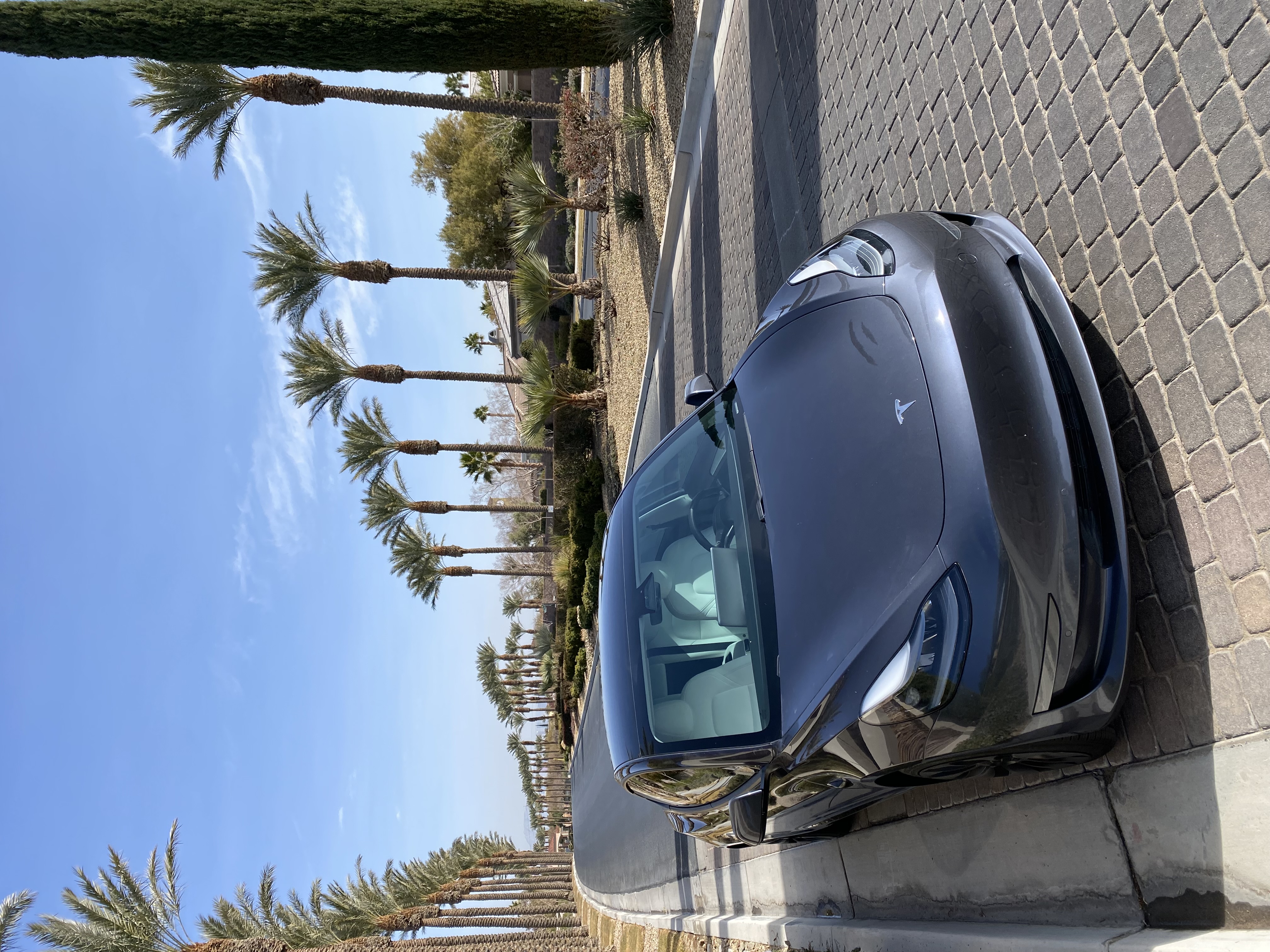 Used 2021 Tesla Model 3 Standard Range Plus RWD image 4